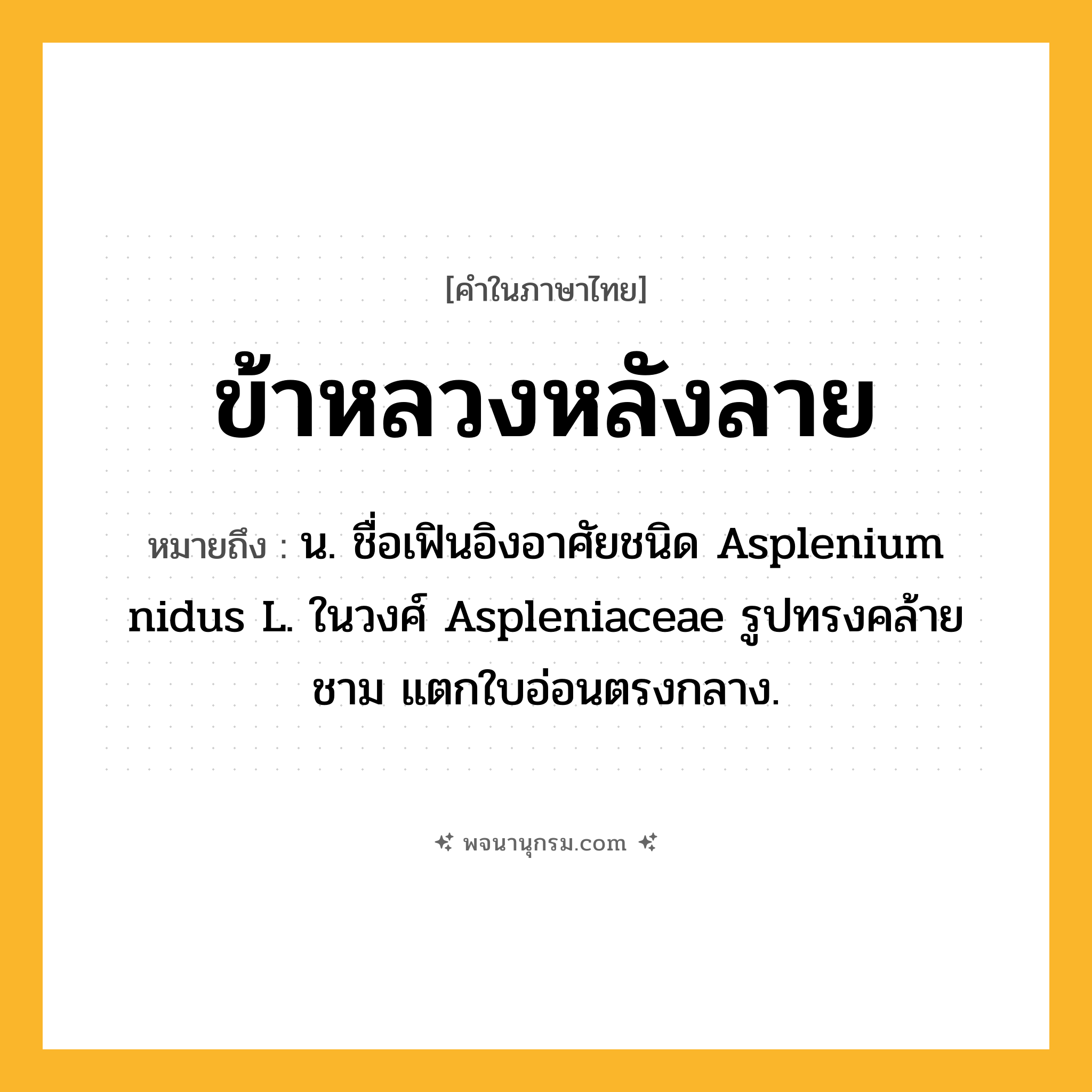 ข้าหลวงหลังลาย ความหมาย หมายถึงอะไร?, คำในภาษาไทย ข้าหลวงหลังลาย หมายถึง น. ชื่อเฟินอิงอาศัยชนิด Asplenium nidus L. ในวงศ์ Aspleniaceae รูปทรงคล้ายชาม แตกใบอ่อนตรงกลาง.
