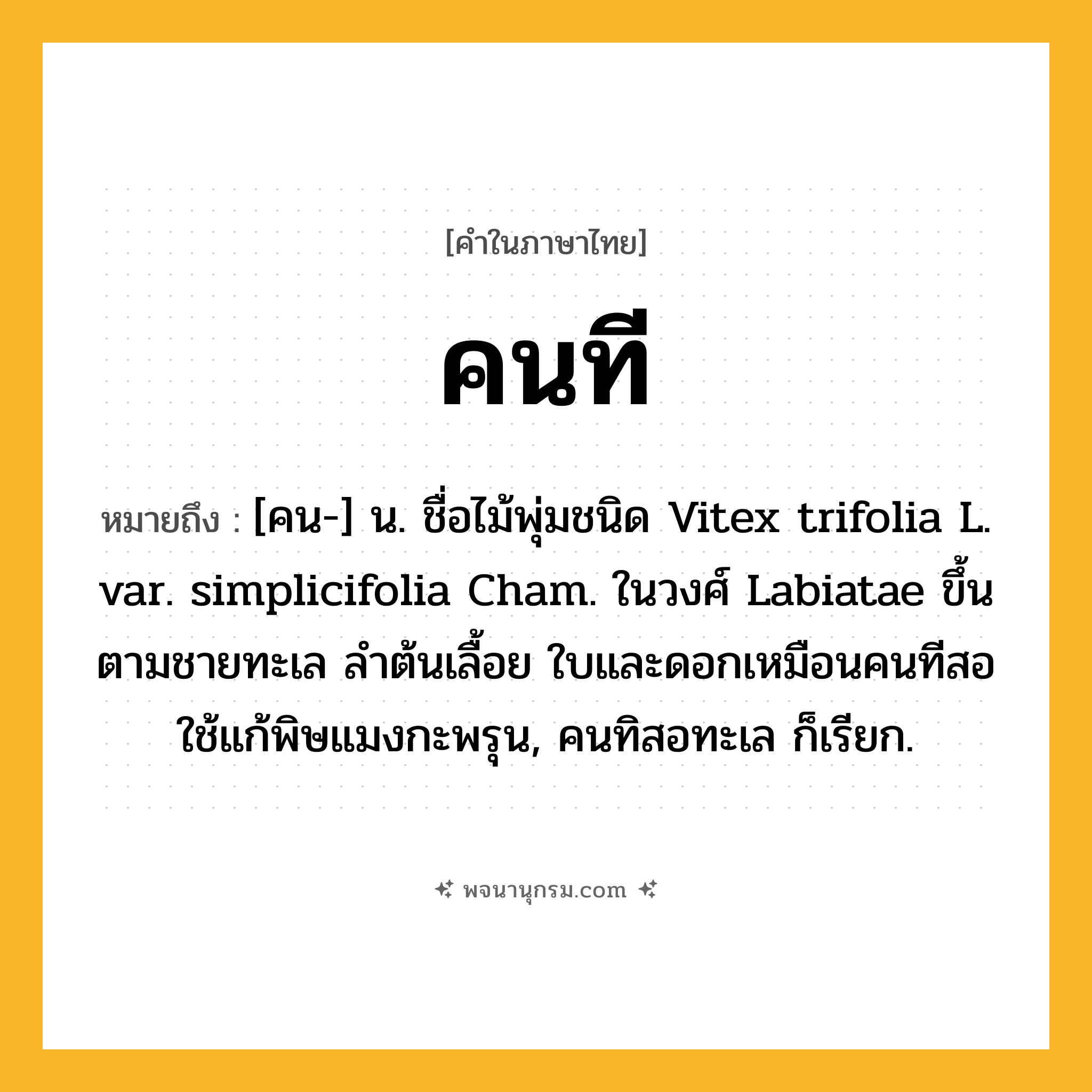 คนที ความหมาย หมายถึงอะไร?, คำในภาษาไทย คนที หมายถึง [คน-] น. ชื่อไม้พุ่มชนิด Vitex trifolia L. var. simplicifolia Cham. ในวงศ์ Labiatae ขึ้นตามชายทะเล ลําต้นเลื้อย ใบและดอกเหมือนคนทีสอ ใช้แก้พิษแมงกะพรุน, คนทิสอทะเล ก็เรียก.