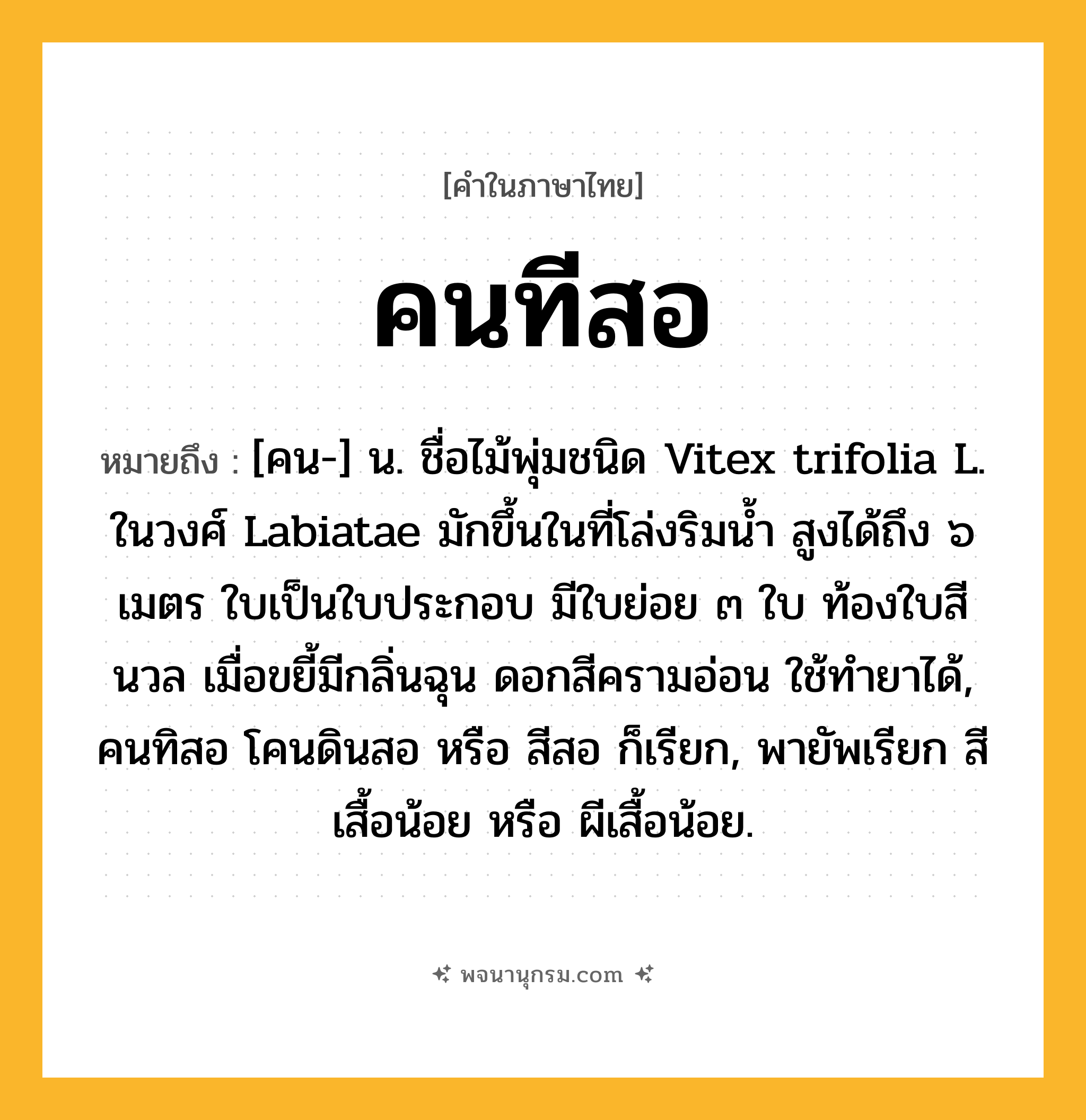คนทีสอ ความหมาย หมายถึงอะไร?, คำในภาษาไทย คนทีสอ หมายถึง [คน-] น. ชื่อไม้พุ่มชนิด Vitex trifolia L. ในวงศ์ Labiatae มักขึ้นในที่โล่งริมนํ้า สูงได้ถึง ๖ เมตร ใบเป็นใบประกอบ มีใบย่อย ๓ ใบ ท้องใบสีนวล เมื่อขยี้มีกลิ่นฉุน ดอกสีครามอ่อน ใช้ทํายาได้, คนทิสอ โคนดินสอ หรือ สีสอ ก็เรียก, พายัพเรียก สีเสื้อน้อย หรือ ผีเสื้อน้อย.