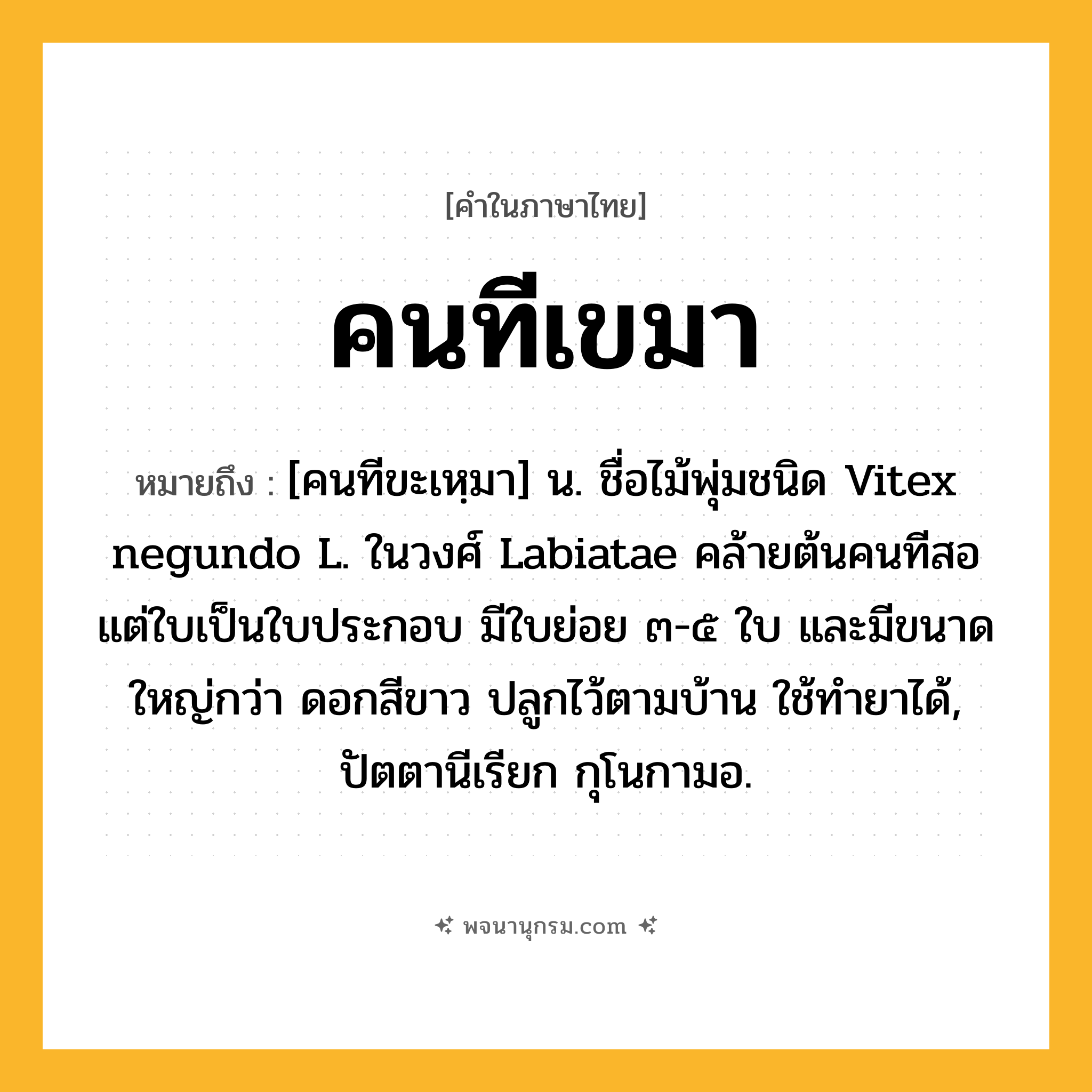 คนทีเขมา ความหมาย หมายถึงอะไร?, คำในภาษาไทย คนทีเขมา หมายถึง [คนทีขะเหฺมา] น. ชื่อไม้พุ่มชนิด Vitex negundo L. ในวงศ์ Labiatae คล้ายต้นคนทีสอ แต่ใบเป็นใบประกอบ มีใบย่อย ๓-๕ ใบ และมีขนาดใหญ่กว่า ดอกสีขาว ปลูกไว้ตามบ้าน ใช้ทํายาได้, ปัตตานีเรียก กุโนกามอ.