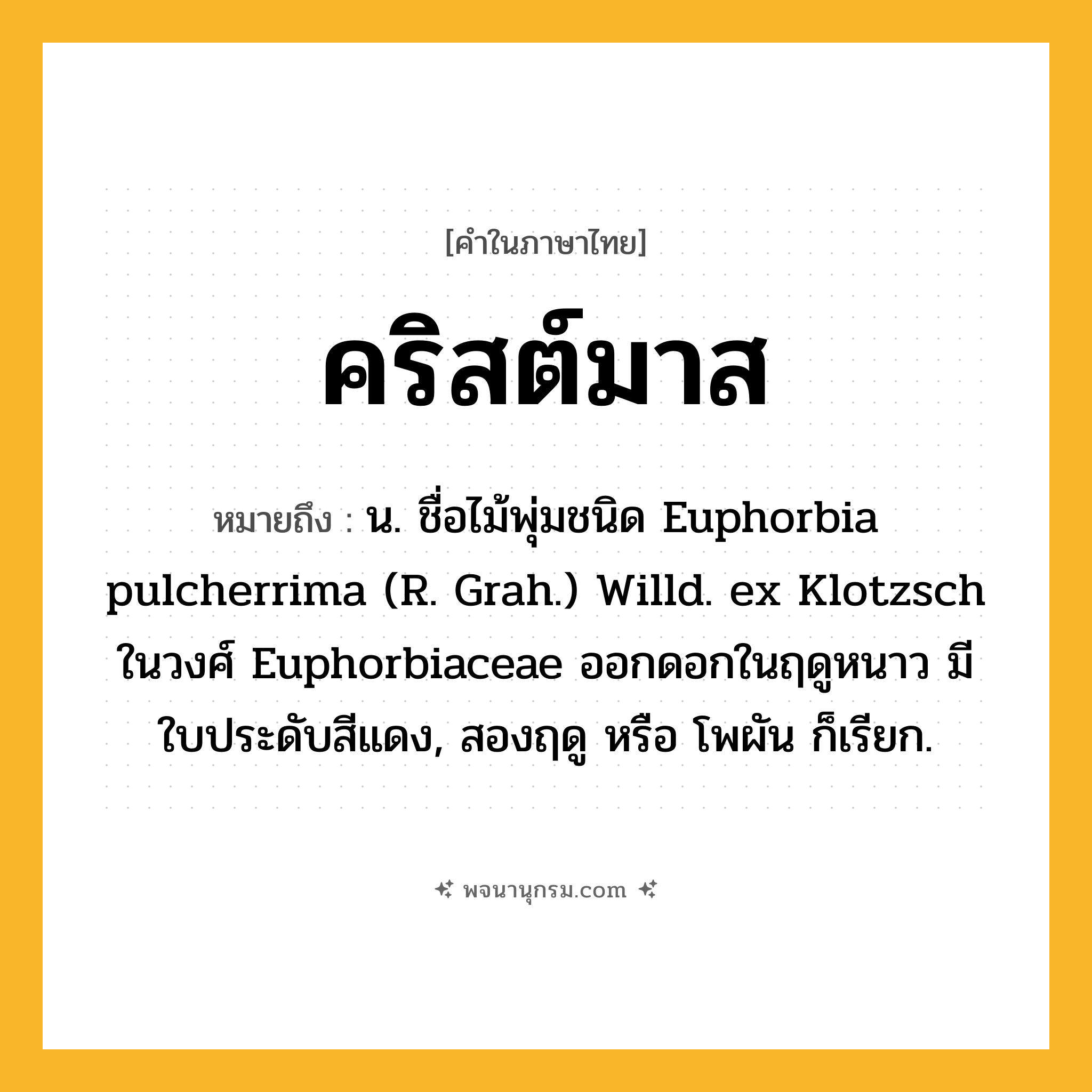 คริสต์มาส ความหมาย หมายถึงอะไร?, คำในภาษาไทย คริสต์มาส หมายถึง น. ชื่อไม้พุ่มชนิด Euphorbia pulcherrima (R. Grah.) Willd. ex Klotzsch ในวงศ์ Euphorbiaceae ออกดอกในฤดูหนาว มีใบประดับสีแดง, สองฤดู หรือ โพผัน ก็เรียก.
