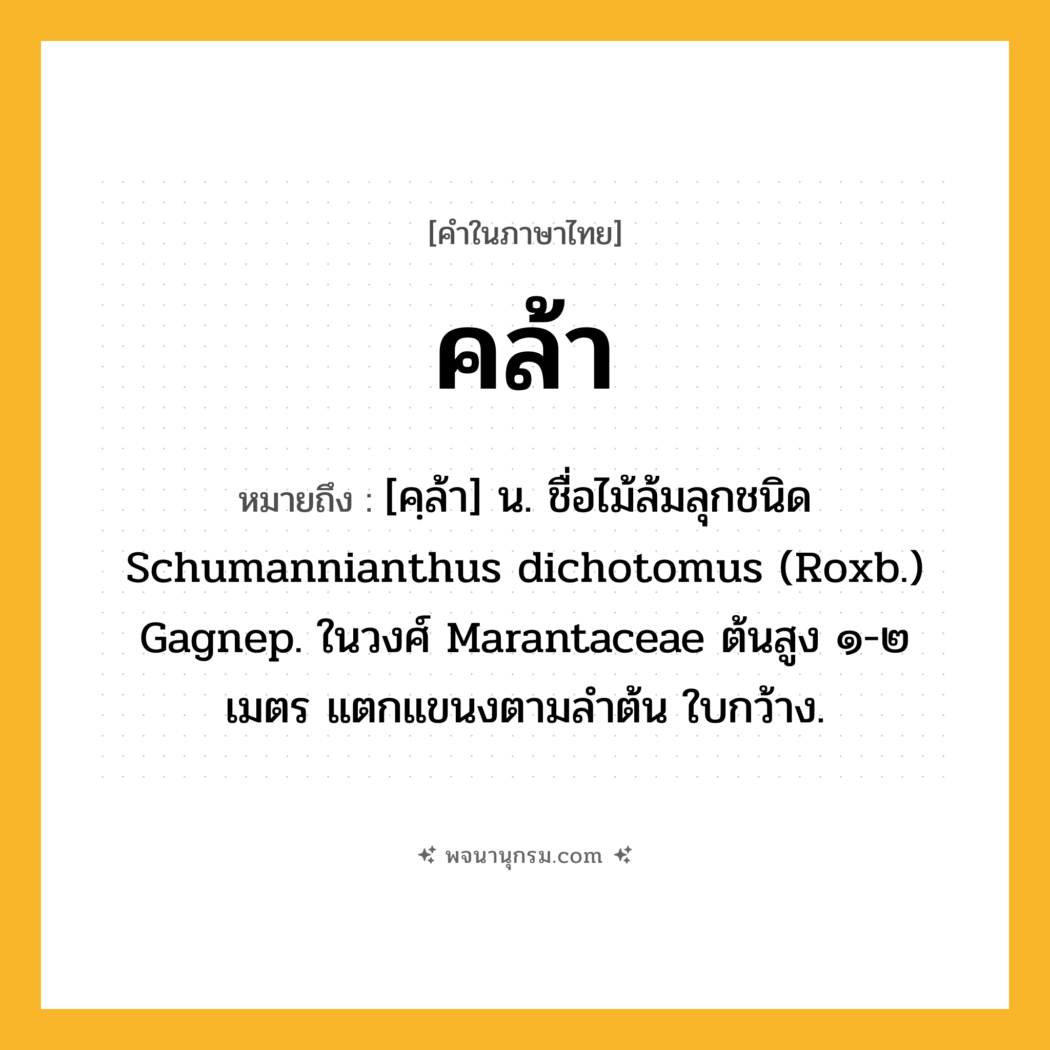 คล้า ความหมาย หมายถึงอะไร?, คำในภาษาไทย คล้า หมายถึง [คฺล้า] น. ชื่อไม้ล้มลุกชนิด Schumannianthus dichotomus (Roxb.) Gagnep. ในวงศ์ Marantaceae ต้นสูง ๑-๒ เมตร แตกแขนงตามลําต้น ใบกว้าง.