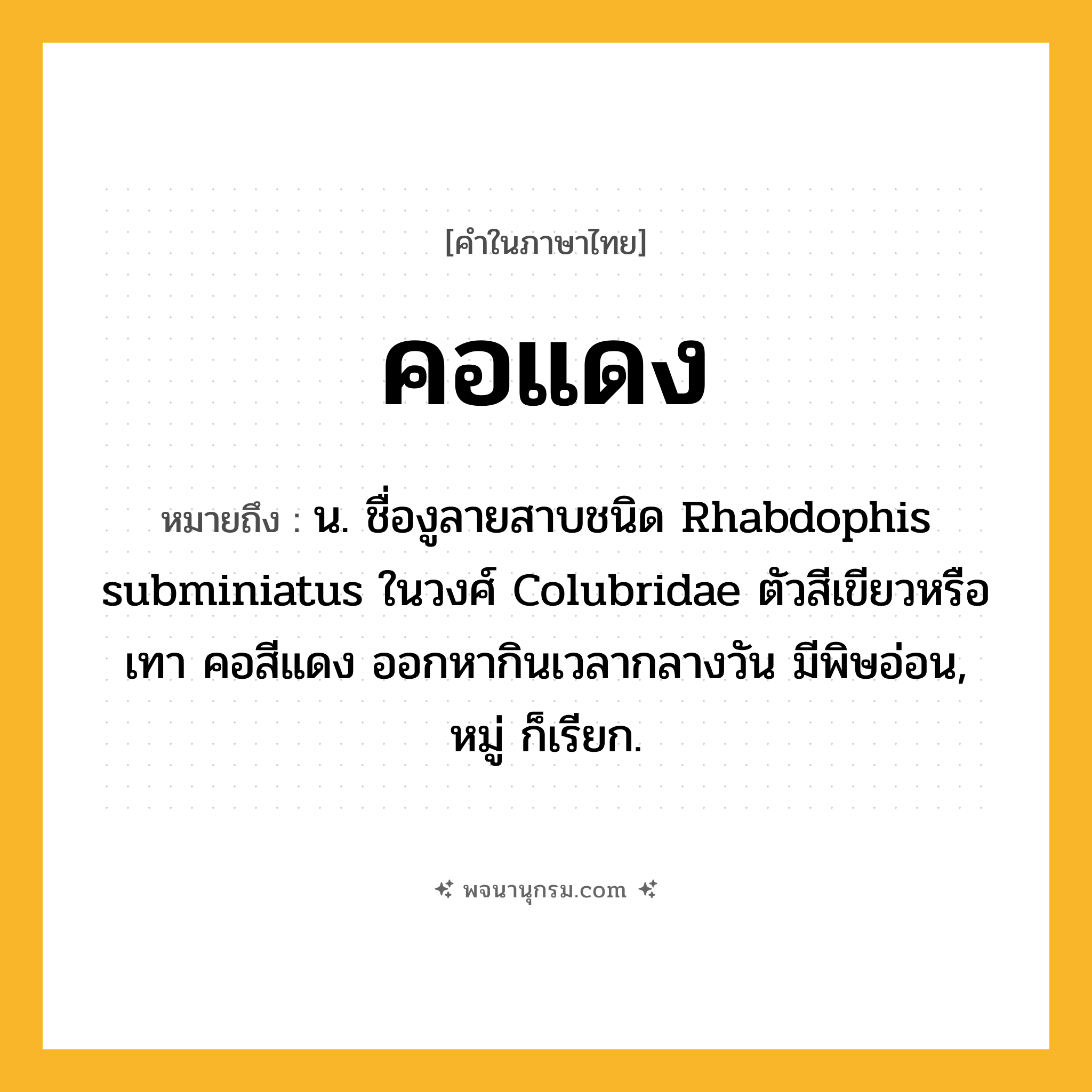 คอแดง ความหมาย หมายถึงอะไร?, คำในภาษาไทย คอแดง หมายถึง น. ชื่องูลายสาบชนิด Rhabdophis subminiatus ในวงศ์ Colubridae ตัวสีเขียวหรือเทา คอสีแดง ออกหากินเวลากลางวัน มีพิษอ่อน, หมู่ ก็เรียก.