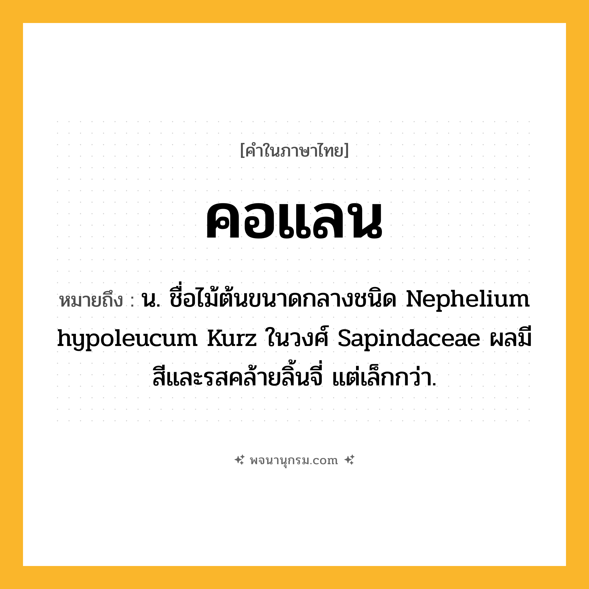 คอแลน ความหมาย หมายถึงอะไร?, คำในภาษาไทย คอแลน หมายถึง น. ชื่อไม้ต้นขนาดกลางชนิด Nephelium hypoleucum Kurz ในวงศ์ Sapindaceae ผลมีสีและรสคล้ายลิ้นจี่ แต่เล็กกว่า.
