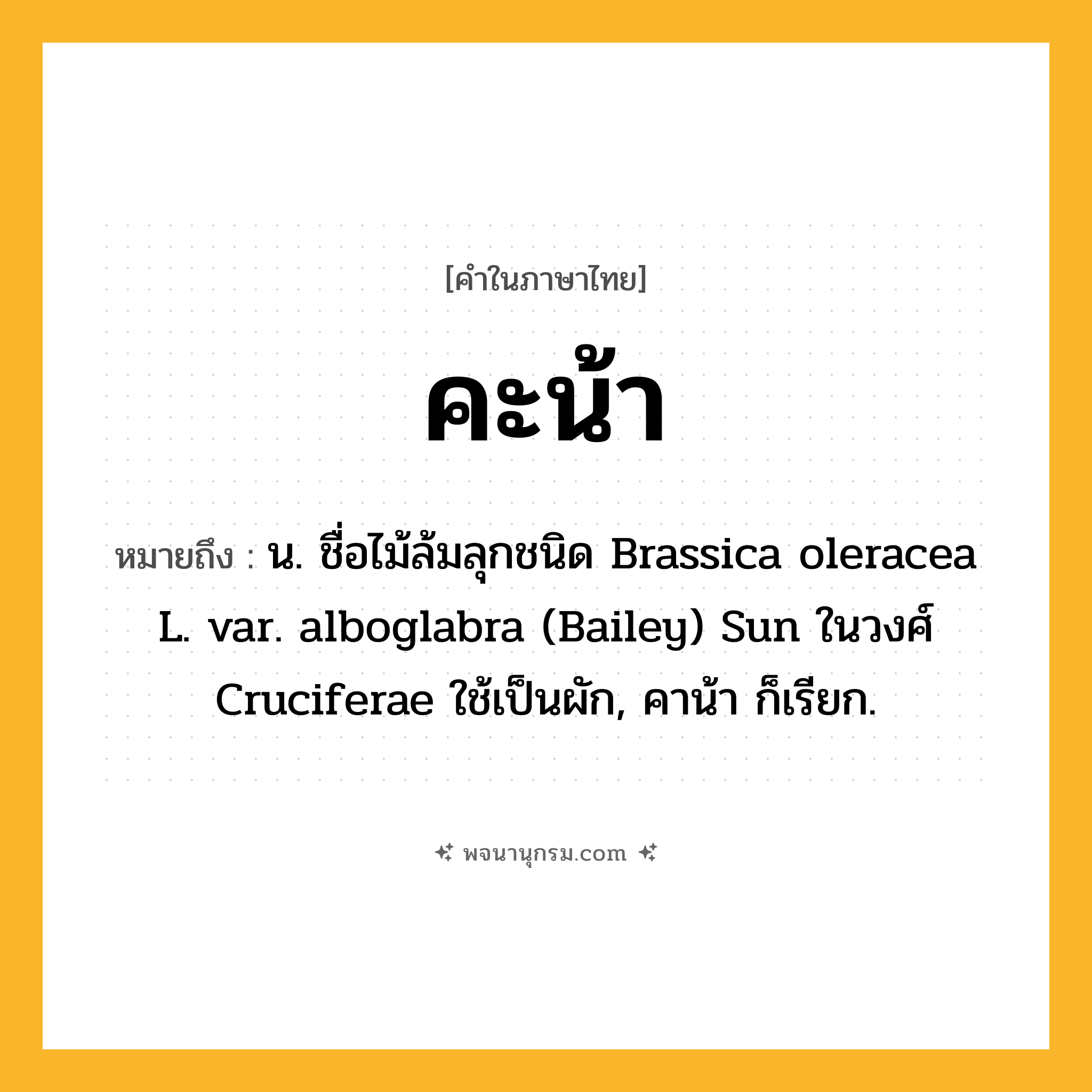 คะน้า ความหมาย หมายถึงอะไร?, คำในภาษาไทย คะน้า หมายถึง น. ชื่อไม้ล้มลุกชนิด Brassica oleracea L. var. alboglabra (Bailey) Sun ในวงศ์ Cruciferae ใช้เป็นผัก, คาน้า ก็เรียก.