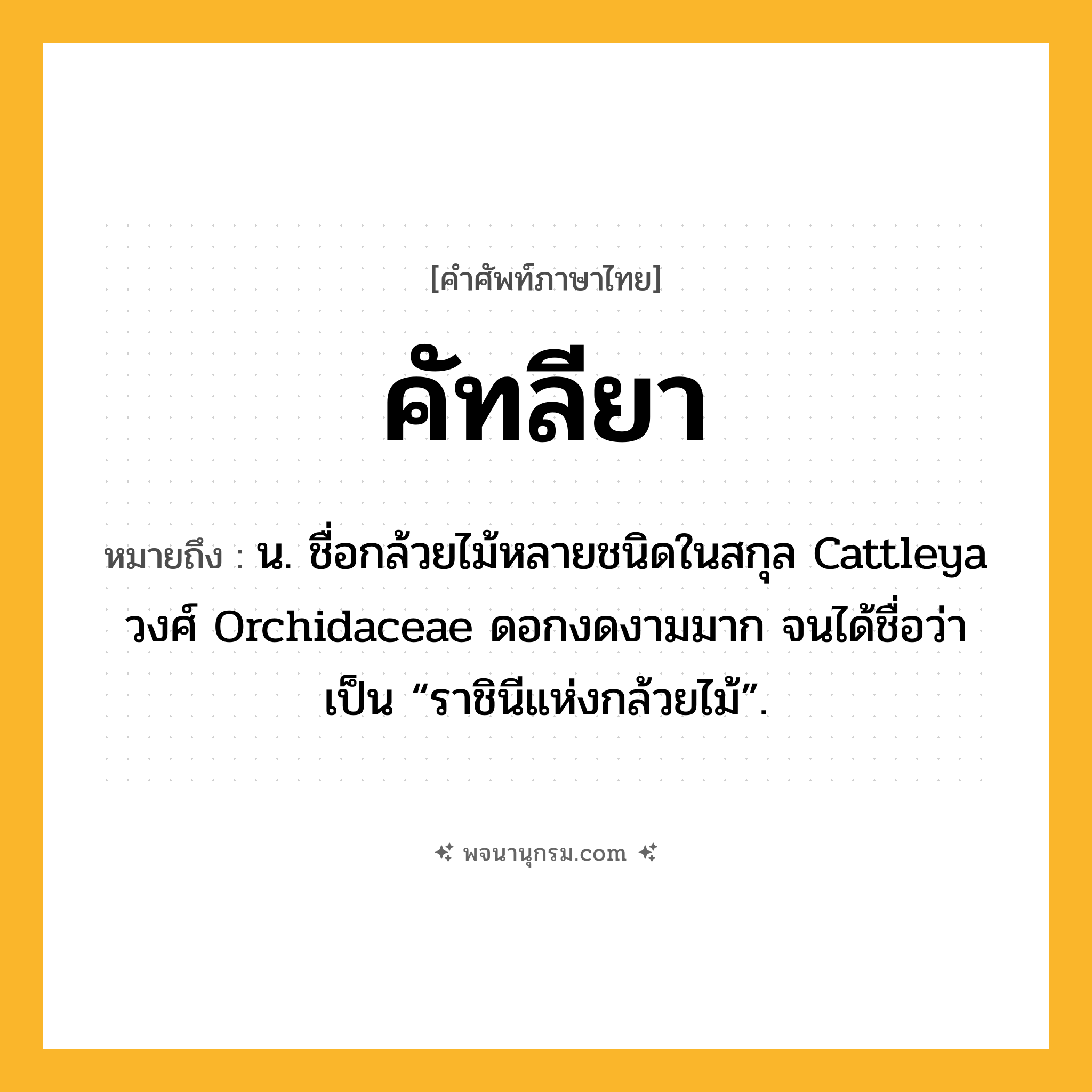 คัทลียา ความหมาย หมายถึงอะไร?, คำในภาษาไทย คัทลียา หมายถึง น. ชื่อกล้วยไม้หลายชนิดในสกุล Cattleya วงศ์ Orchidaceae ดอกงดงามมาก จนได้ชื่อว่าเป็น “ราชินีแห่งกล้วยไม้”.