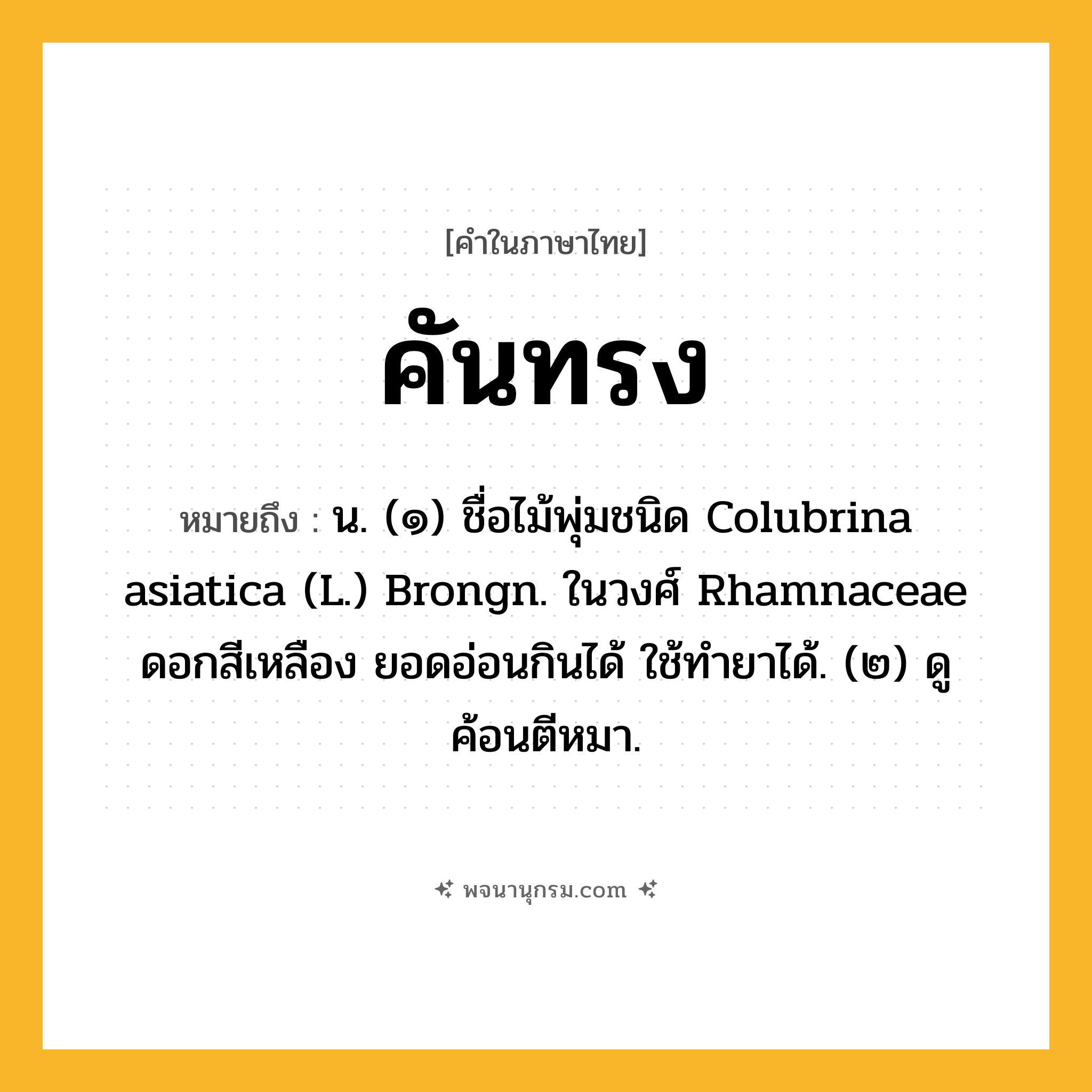 คันทรง ความหมาย หมายถึงอะไร?, คำในภาษาไทย คันทรง หมายถึง น. (๑) ชื่อไม้พุ่มชนิด Colubrina asiatica (L.) Brongn. ในวงศ์ Rhamnaceae ดอกสีเหลือง ยอดอ่อนกินได้ ใช้ทํายาได้. (๒) ดู ค้อนตีหมา.