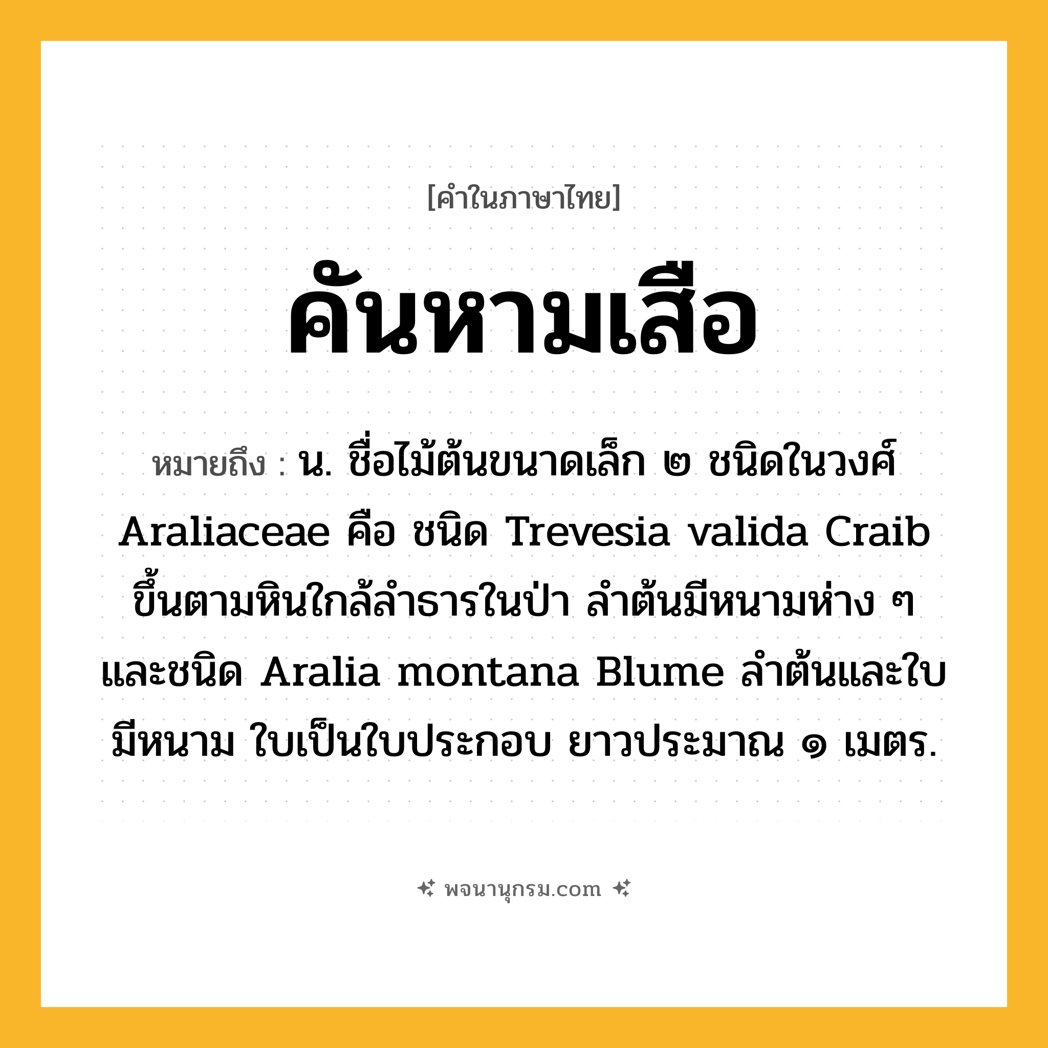 คันหามเสือ ความหมาย หมายถึงอะไร?, คำในภาษาไทย คันหามเสือ หมายถึง น. ชื่อไม้ต้นขนาดเล็ก ๒ ชนิดในวงศ์ Araliaceae คือ ชนิด Trevesia valida Craib ขึ้นตามหินใกล้ลําธารในป่า ลําต้นมีหนามห่าง ๆ และชนิด Aralia montana Blume ลําต้นและใบมีหนาม ใบเป็นใบประกอบ ยาวประมาณ ๑ เมตร.