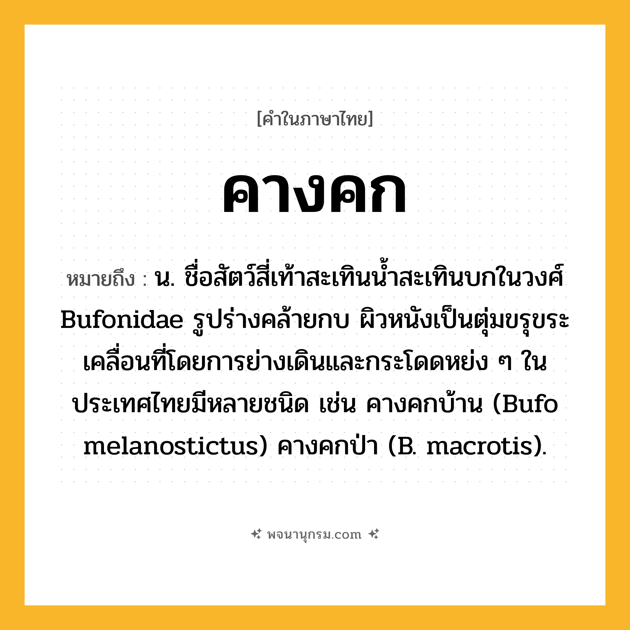 คางคก ความหมาย หมายถึงอะไร?, คำในภาษาไทย คางคก หมายถึง น. ชื่อสัตว์สี่เท้าสะเทินนํ้าสะเทินบกในวงศ์ Bufonidae รูปร่างคล้ายกบ ผิวหนังเป็นตุ่มขรุขระ เคลื่อนที่โดยการย่างเดินและกระโดดหย่ง ๆ ในประเทศไทยมีหลายชนิด เช่น คางคกบ้าน (Bufo melanostictus) คางคกป่า (B. macrotis).