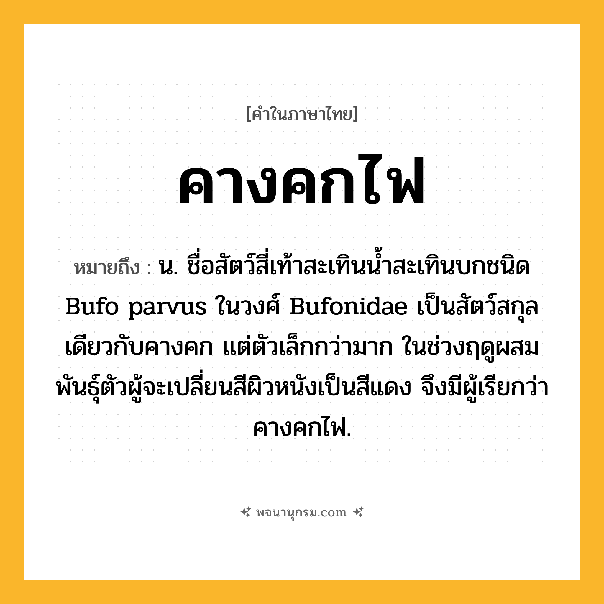 คางคกไฟ ความหมาย หมายถึงอะไร?, คำในภาษาไทย คางคกไฟ หมายถึง น. ชื่อสัตว์สี่เท้าสะเทินนํ้าสะเทินบกชนิด Bufo parvus ในวงศ์ Bufonidae เป็นสัตว์สกุลเดียวกับคางคก แต่ตัวเล็กกว่ามาก ในช่วงฤดูผสมพันธุ์ตัวผู้จะเปลี่ยนสีผิวหนังเป็นสีแดง จึงมีผู้เรียกว่า คางคกไฟ.