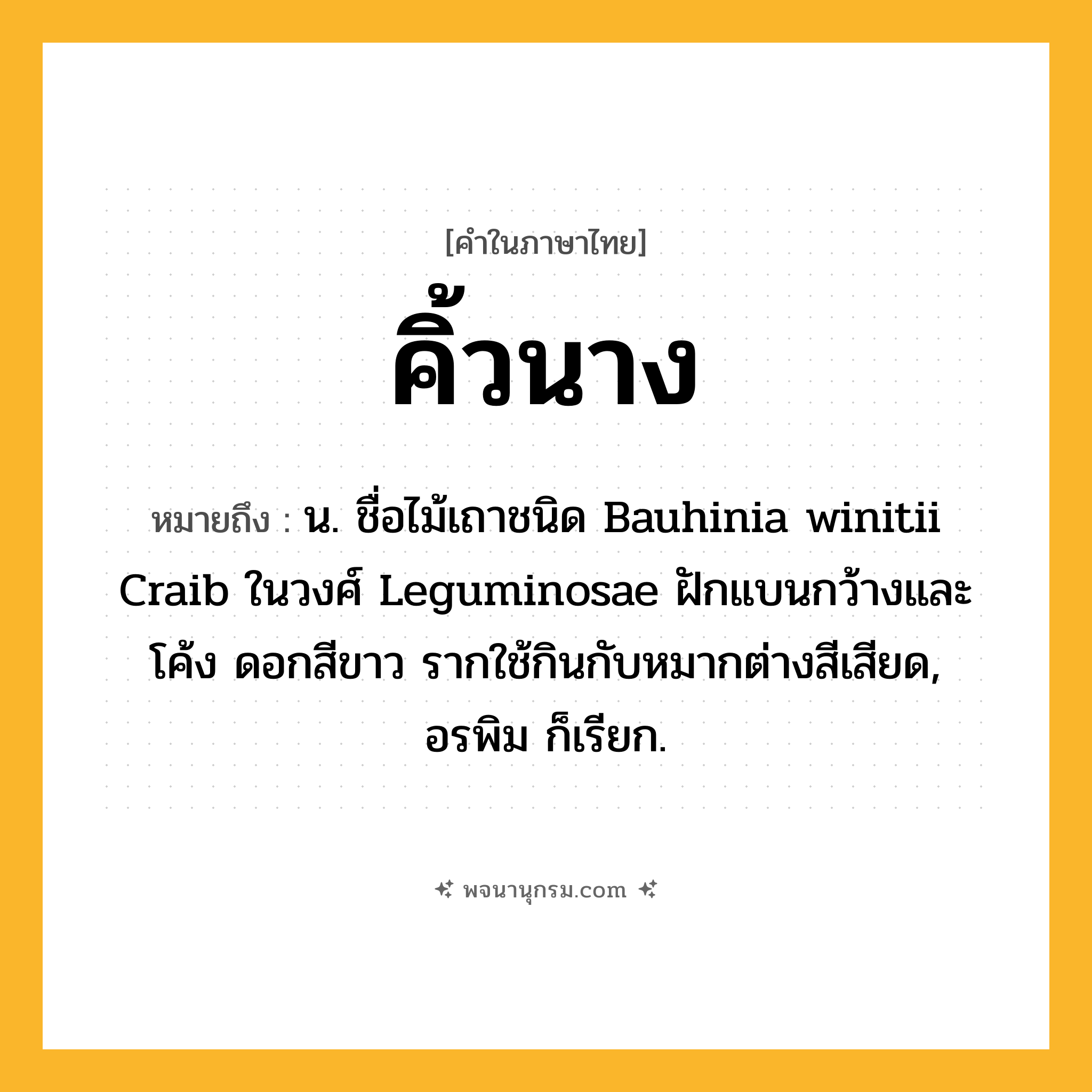 คิ้วนาง ความหมาย หมายถึงอะไร?, คำในภาษาไทย คิ้วนาง หมายถึง น. ชื่อไม้เถาชนิด Bauhinia winitii Craib ในวงศ์ Leguminosae ฝักแบนกว้างและโค้ง ดอกสีขาว รากใช้กินกับหมากต่างสีเสียด, อรพิม ก็เรียก.