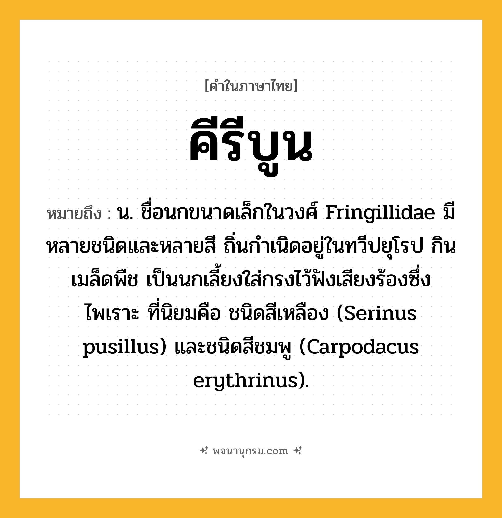 คีรีบูน ความหมาย หมายถึงอะไร?, คำในภาษาไทย คีรีบูน หมายถึง น. ชื่อนกขนาดเล็กในวงศ์ Fringillidae มีหลายชนิดและหลายสี ถิ่นกําเนิดอยู่ในทวีปยุโรป กินเมล็ดพืช เป็นนกเลี้ยงใส่กรงไว้ฟังเสียงร้องซึ่งไพเราะ ที่นิยมคือ ชนิดสีเหลือง (Serinus pusillus) และชนิดสีชมพู (Carpodacus erythrinus).