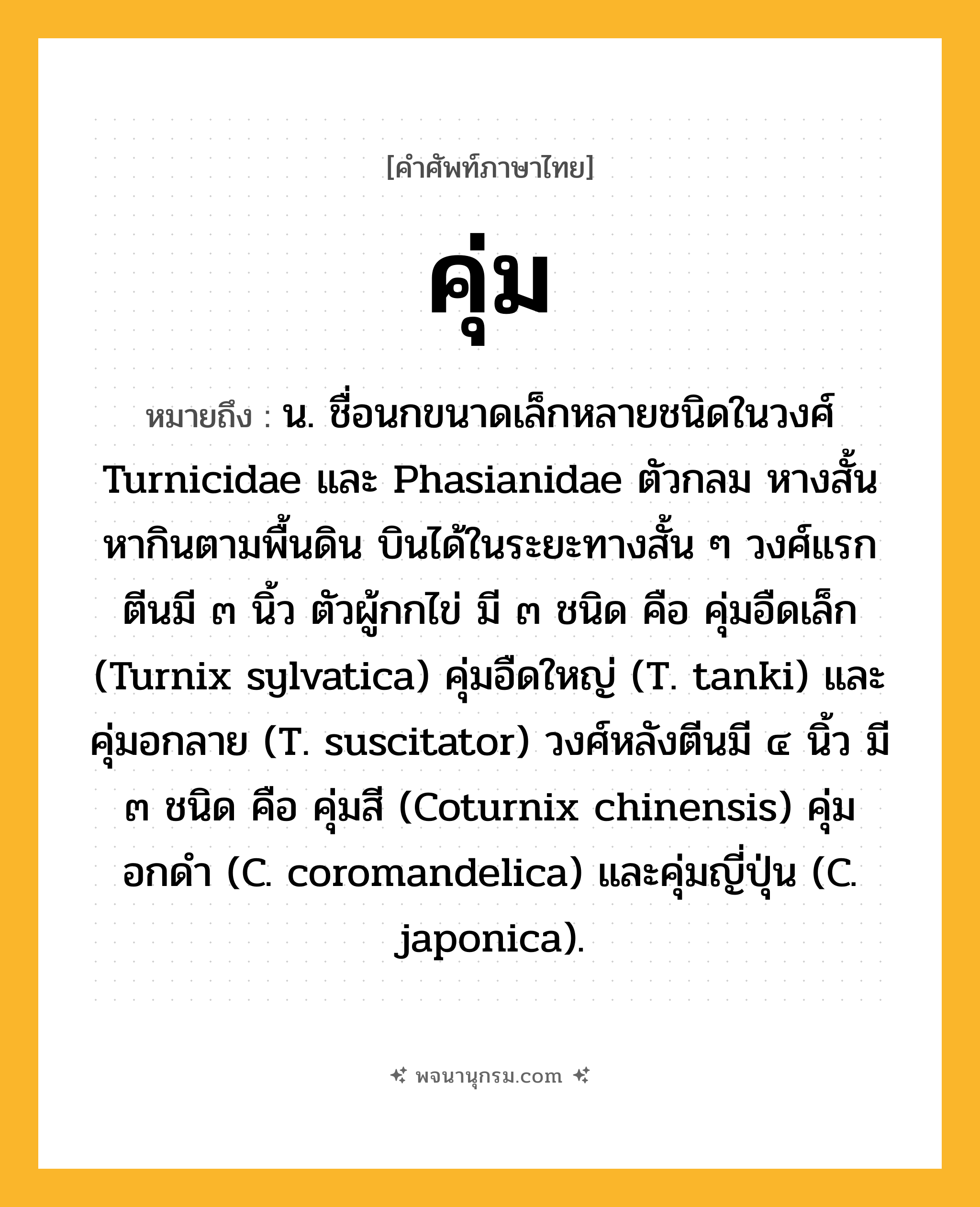 คุ่ม ความหมาย หมายถึงอะไร?, คำในภาษาไทย คุ่ม หมายถึง น. ชื่อนกขนาดเล็กหลายชนิดในวงศ์ Turnicidae และ Phasianidae ตัวกลม หางสั้น หากินตามพื้นดิน บินได้ในระยะทางสั้น ๆ วงศ์แรกตีนมี ๓ นิ้ว ตัวผู้กกไข่ มี ๓ ชนิด คือ คุ่มอืดเล็ก (Turnix sylvatica) คุ่มอืดใหญ่ (T. tanki) และคุ่มอกลาย (T. suscitator) วงศ์หลังตีนมี ๔ นิ้ว มี ๓ ชนิด คือ คุ่มสี (Coturnix chinensis) คุ่มอกดํา (C. coromandelica) และคุ่มญี่ปุ่น (C. japonica).