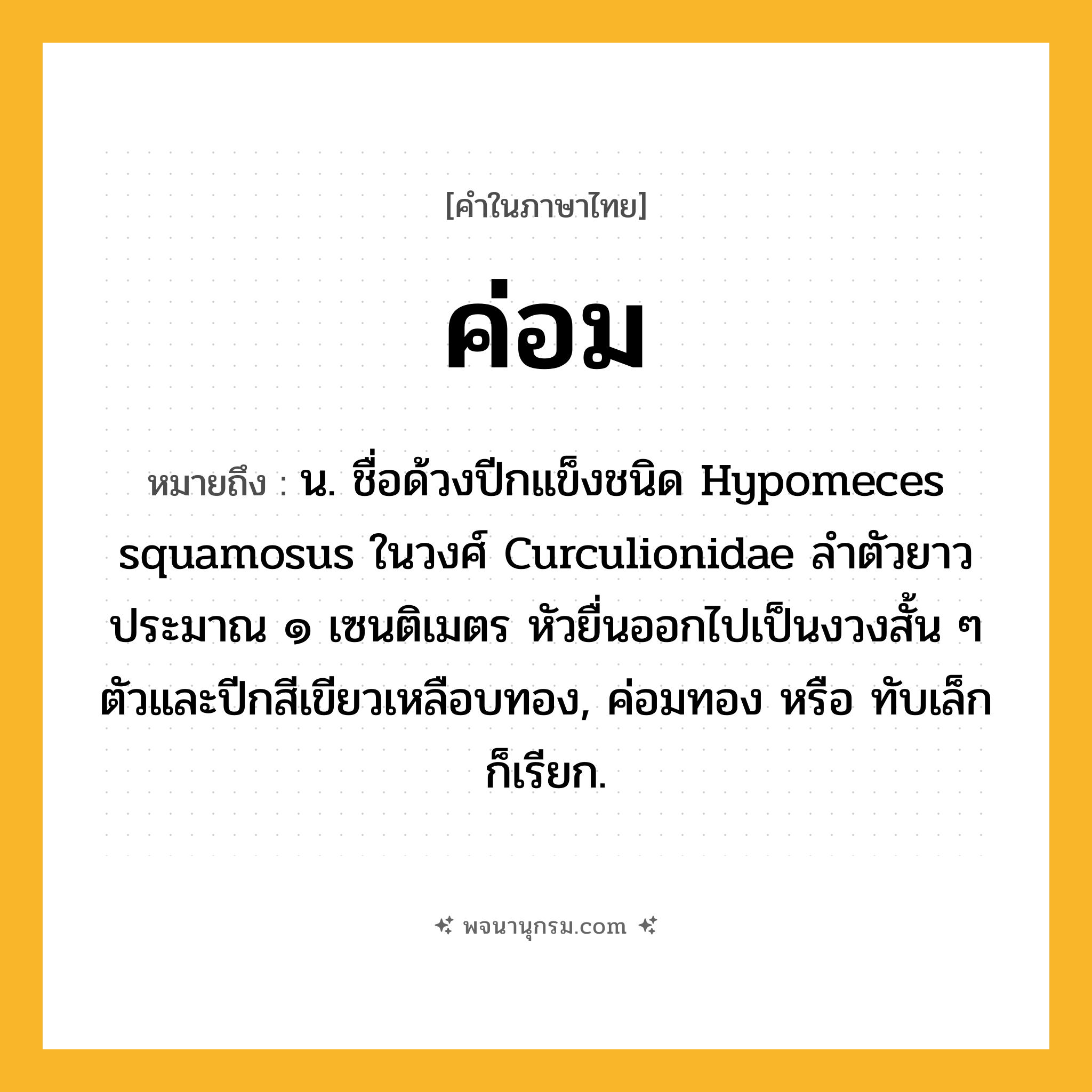 ค่อม ความหมาย หมายถึงอะไร?, คำในภาษาไทย ค่อม หมายถึง น. ชื่อด้วงปีกแข็งชนิด Hypomeces squamosus ในวงศ์ Curculionidae ลําตัวยาวประมาณ ๑ เซนติเมตร หัวยื่นออกไปเป็นงวงสั้น ๆ ตัวและปีกสีเขียวเหลือบทอง, ค่อมทอง หรือ ทับเล็ก ก็เรียก.