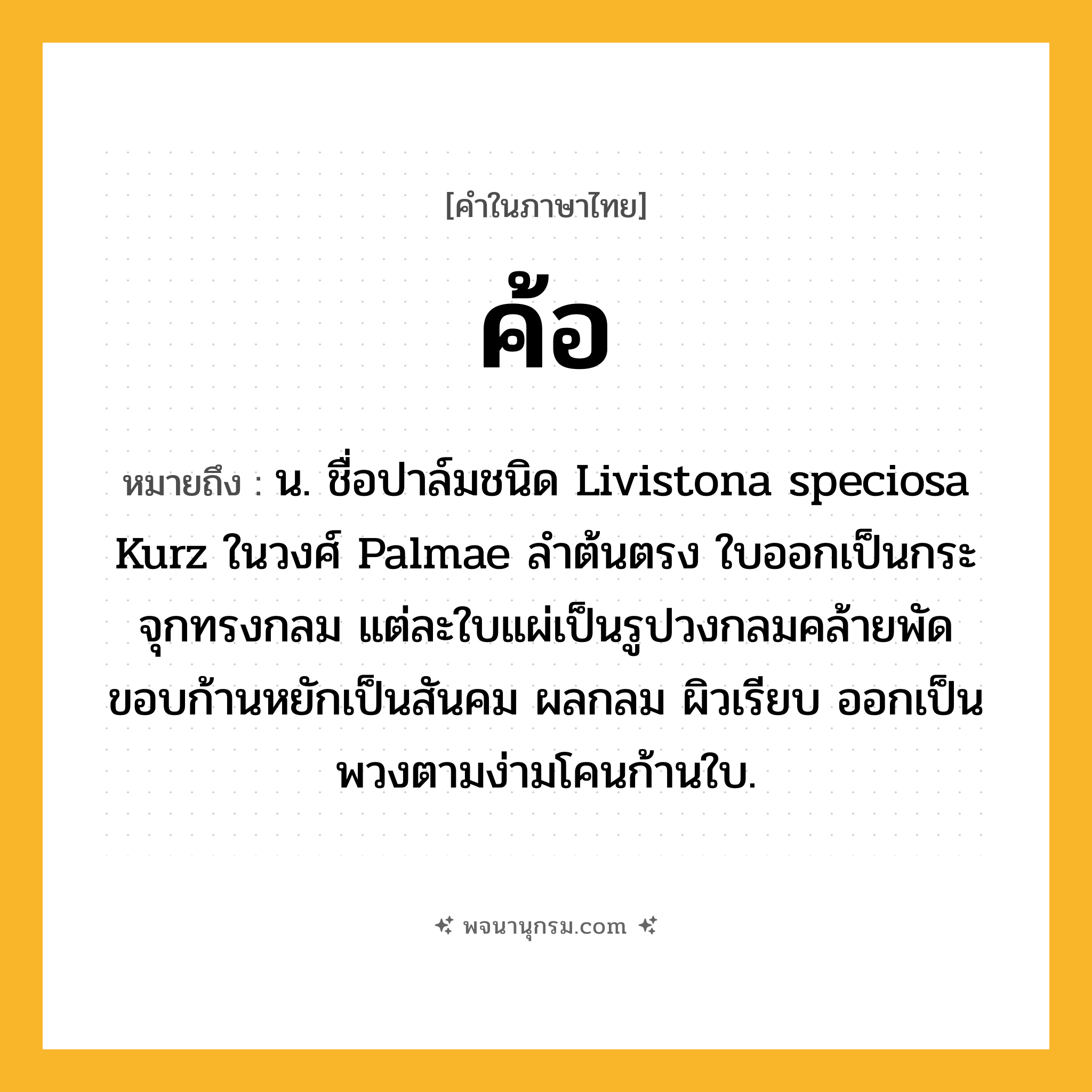 ค้อ ความหมาย หมายถึงอะไร?, คำในภาษาไทย ค้อ หมายถึง น. ชื่อปาล์มชนิด Livistona speciosa Kurz ในวงศ์ Palmae ลำต้นตรง ใบออกเป็นกระจุกทรงกลม แต่ละใบแผ่เป็นรูปวงกลมคล้ายพัด ขอบก้านหยักเป็นสันคม ผลกลม ผิวเรียบ ออกเป็นพวงตามง่ามโคนก้านใบ.