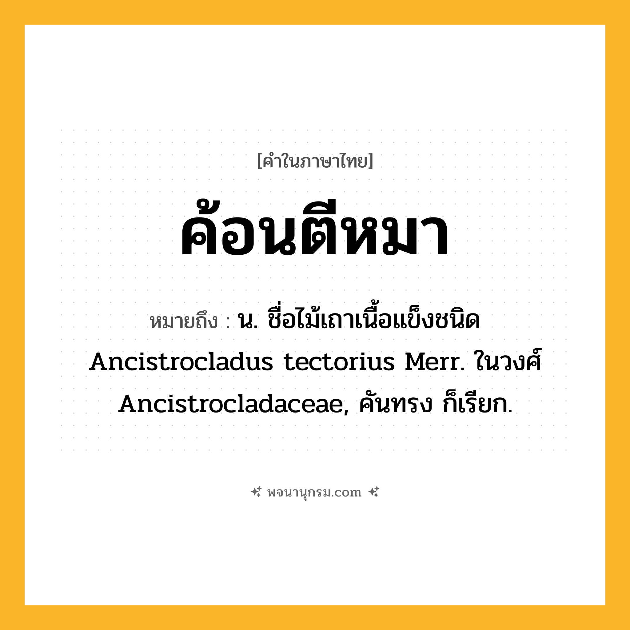 ค้อนตีหมา ความหมาย หมายถึงอะไร?, คำในภาษาไทย ค้อนตีหมา หมายถึง น. ชื่อไม้เถาเนื้อแข็งชนิด Ancistrocladus tectorius Merr. ในวงศ์ Ancistrocladaceae, คันทรง ก็เรียก.
