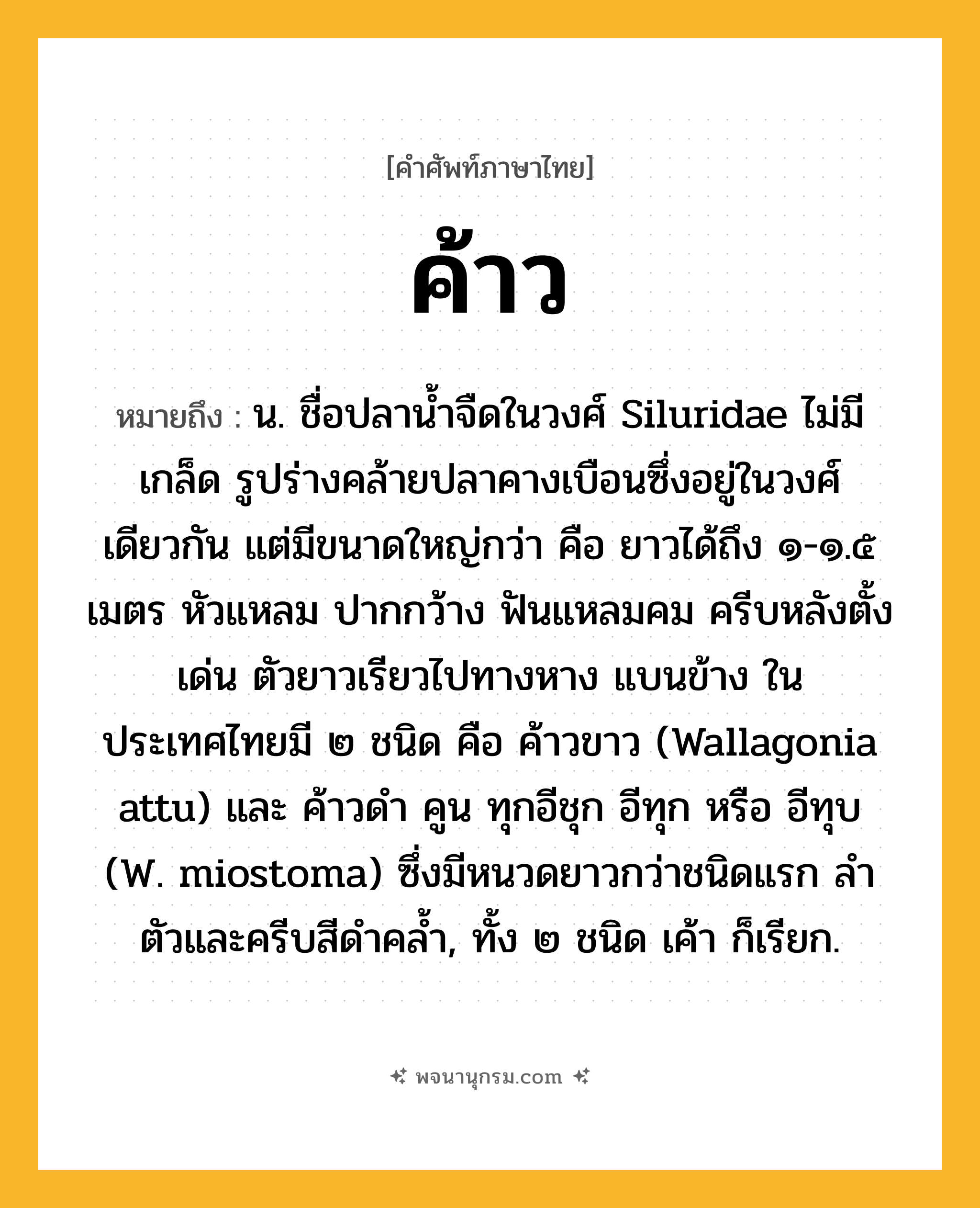 ค้าว ความหมาย หมายถึงอะไร?, คำในภาษาไทย ค้าว หมายถึง น. ชื่อปลานํ้าจืดในวงศ์ Siluridae ไม่มีเกล็ด รูปร่างคล้ายปลาคางเบือนซึ่งอยู่ในวงศ์เดียวกัน แต่มีขนาดใหญ่กว่า คือ ยาวได้ถึง ๑-๑.๕ เมตร หัวแหลม ปากกว้าง ฟันแหลมคม ครีบหลังตั้งเด่น ตัวยาวเรียวไปทางหาง แบนข้าง ในประเทศไทยมี ๒ ชนิด คือ ค้าวขาว (Wallagonia attu) และ ค้าวดํา คูน ทุกอีชุก อีทุก หรือ อีทุบ (W. miostoma) ซึ่งมีหนวดยาวกว่าชนิดแรก ลำตัวและครีบสีดำคล้ำ, ทั้ง ๒ ชนิด เค้า ก็เรียก.
