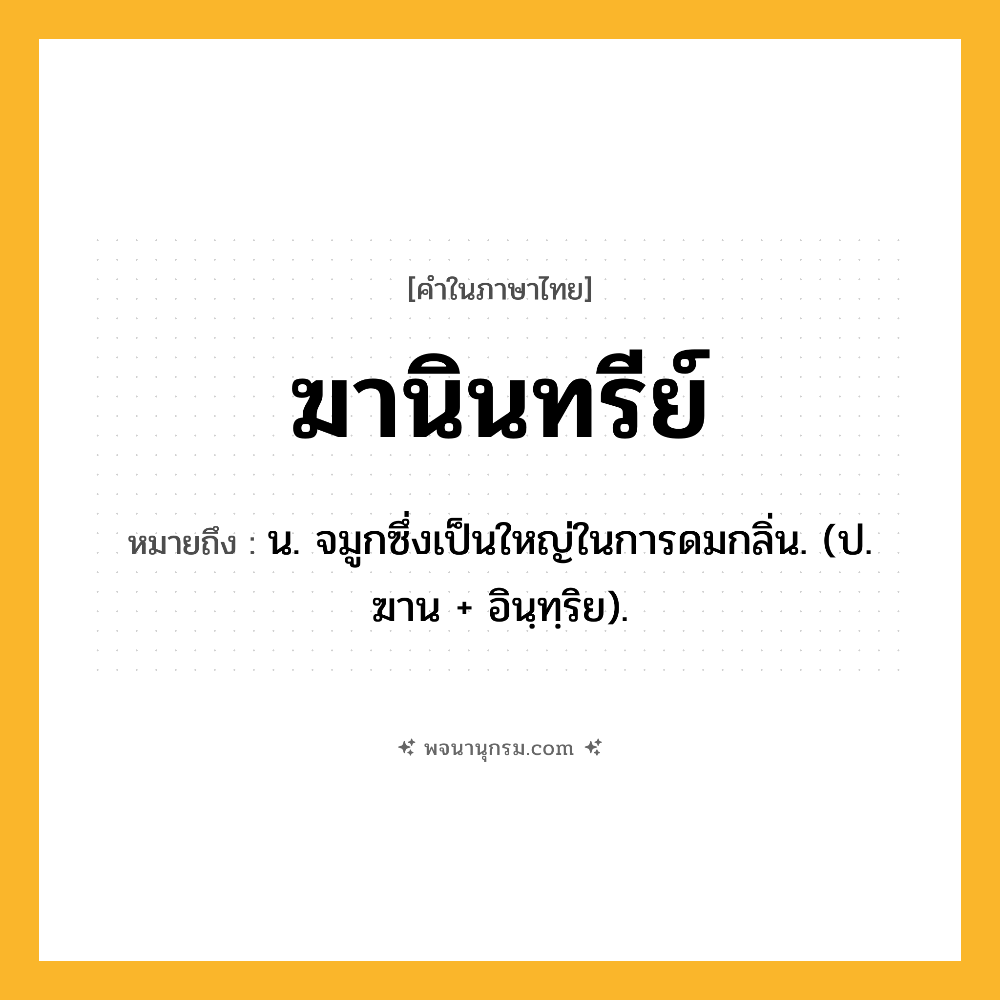ฆานินทรีย์ ความหมาย หมายถึงอะไร?, คำในภาษาไทย ฆานินทรีย์ หมายถึง น. จมูกซึ่งเป็นใหญ่ในการดมกลิ่น. (ป. ฆาน + อินฺทฺริย).
