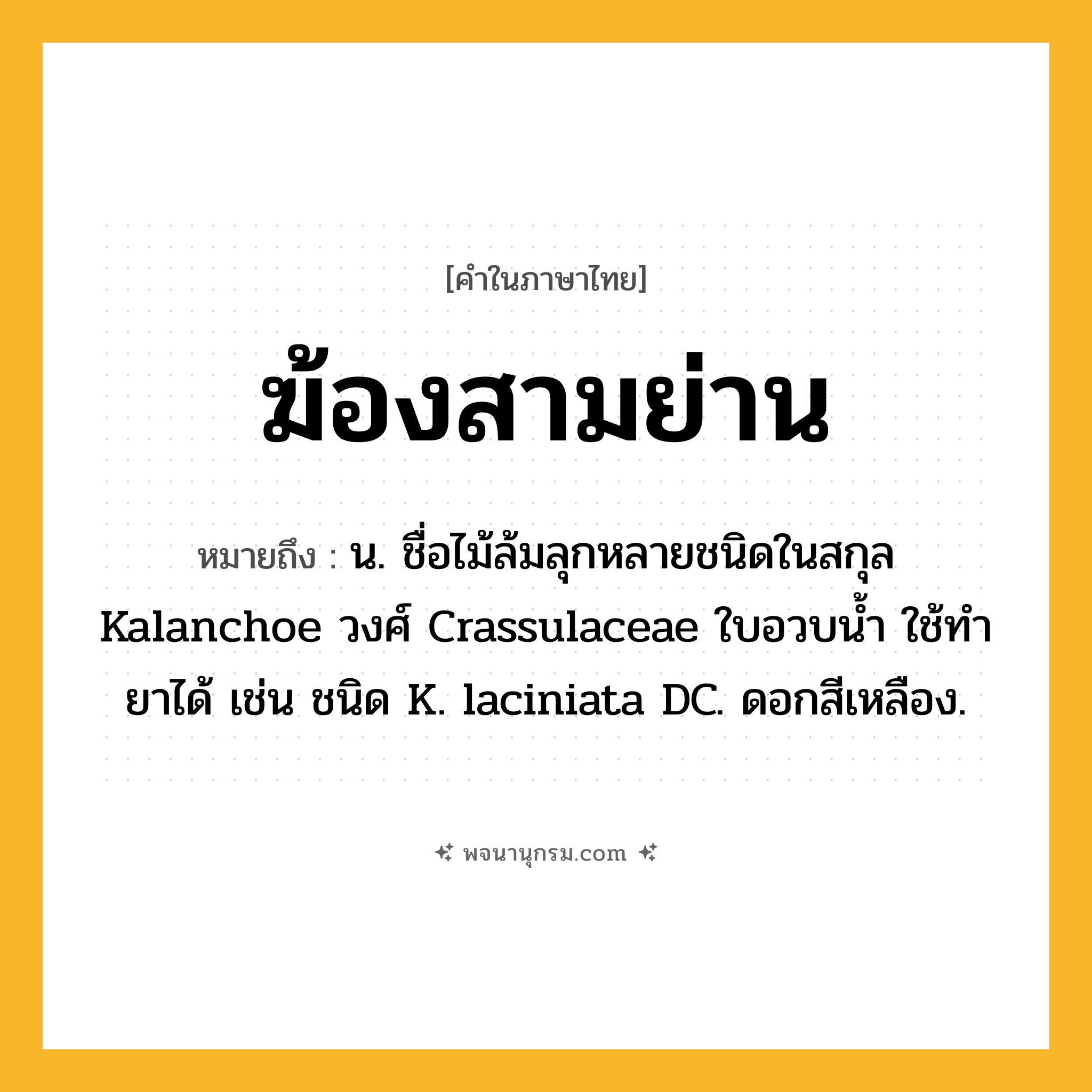 ฆ้องสามย่าน ความหมาย หมายถึงอะไร?, คำในภาษาไทย ฆ้องสามย่าน หมายถึง น. ชื่อไม้ล้มลุกหลายชนิดในสกุล Kalanchoe วงศ์ Crassulaceae ใบอวบนํ้า ใช้ทํายาได้ เช่น ชนิด K. laciniata DC. ดอกสีเหลือง.