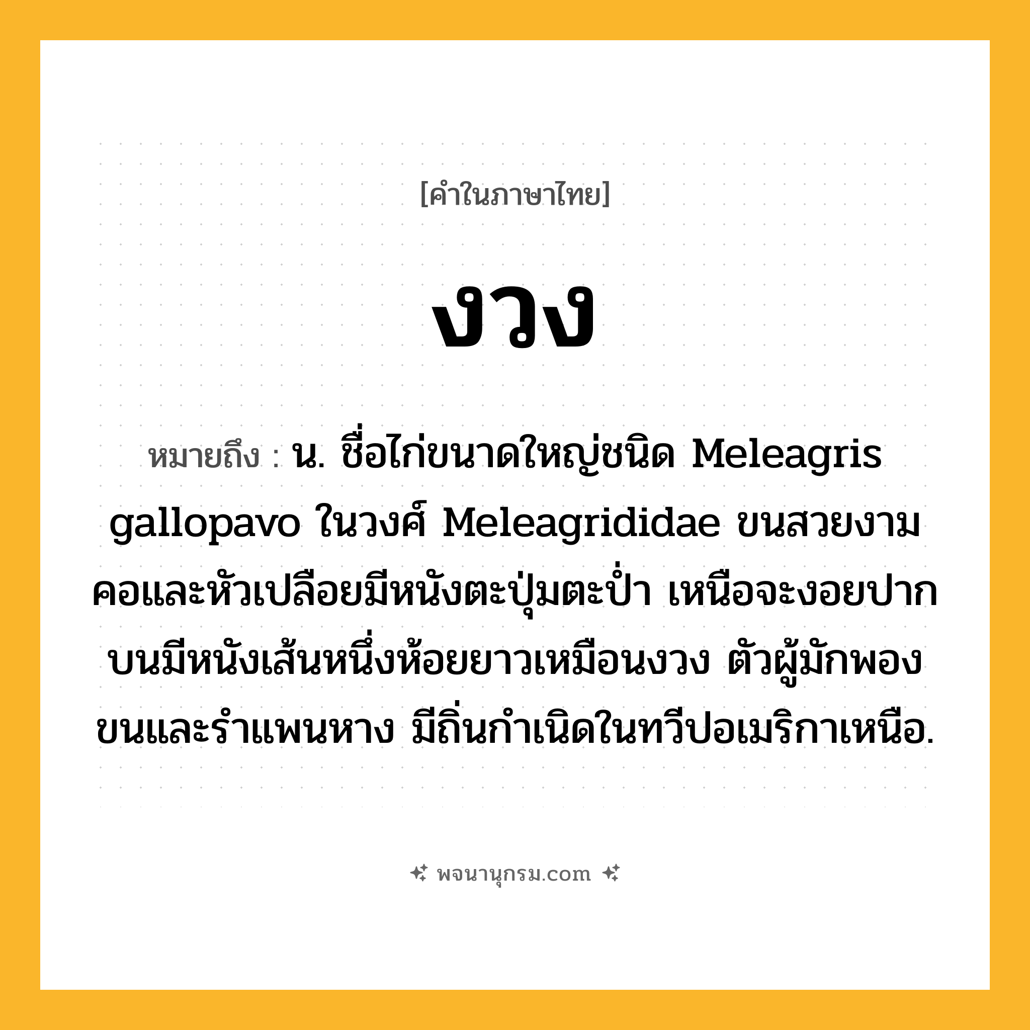 งวง ความหมาย หมายถึงอะไร?, คำในภาษาไทย งวง หมายถึง น. ชื่อไก่ขนาดใหญ่ชนิด Meleagris gallopavo ในวงศ์ Meleagrididae ขนสวยงาม คอและหัวเปลือยมีหนังตะปุ่มตะป่ำ เหนือจะงอยปากบนมีหนังเส้นหนึ่งห้อยยาวเหมือนงวง ตัวผู้มักพองขนและรําแพนหาง มีถิ่นกำเนิดในทวีปอเมริกาเหนือ.