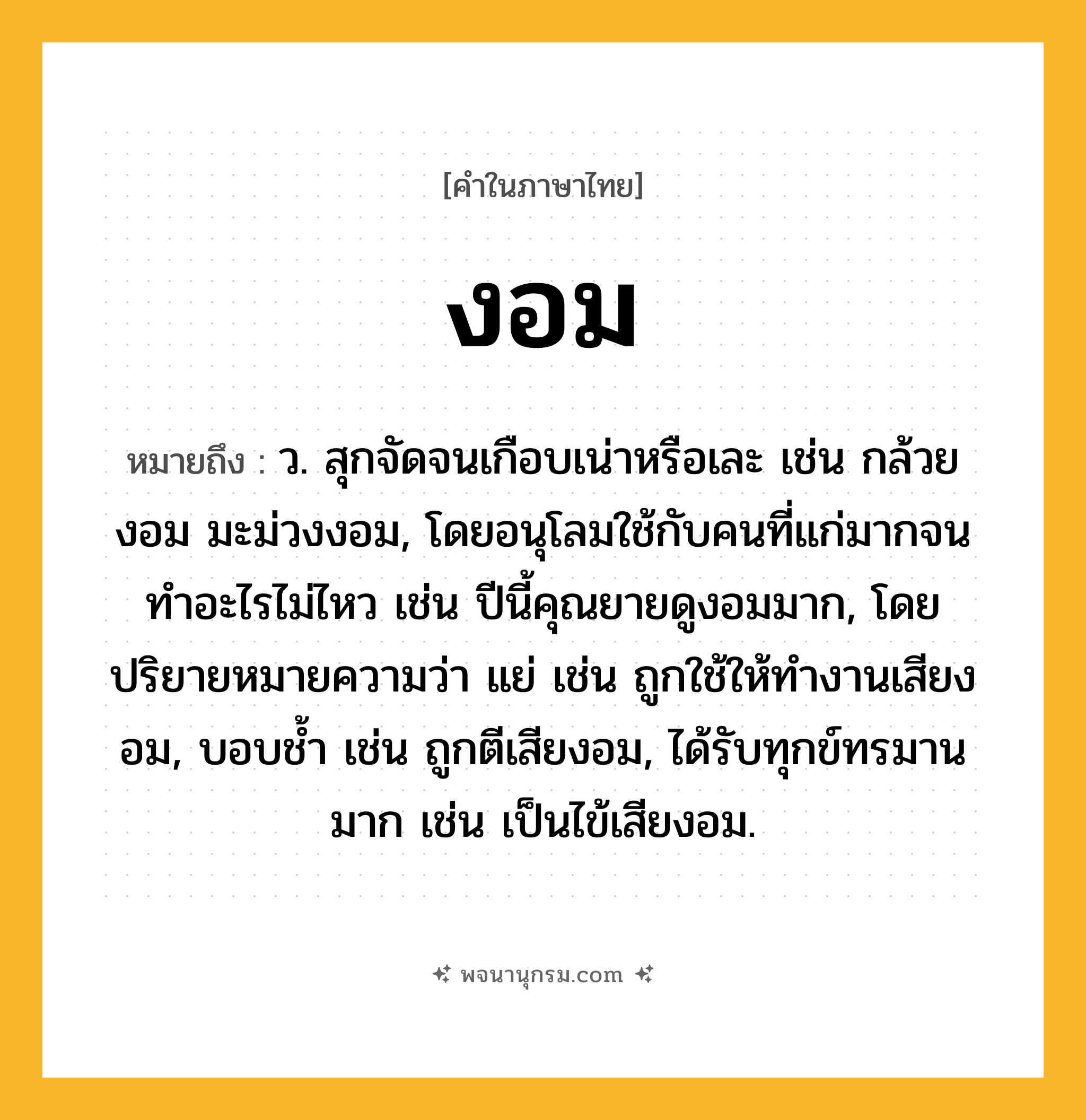 งอม ความหมาย หมายถึงอะไร?, คำในภาษาไทย งอม หมายถึง ว. สุกจัดจนเกือบเน่าหรือเละ เช่น กล้วยงอม มะม่วงงอม, โดยอนุโลมใช้กับคนที่แก่มากจนทำอะไรไม่ไหว เช่น ปีนี้คุณยายดูงอมมาก, โดยปริยายหมายความว่า แย่ เช่น ถูกใช้ให้ทํางานเสียงอม, บอบชํ้า เช่น ถูกตีเสียงอม, ได้รับทุกข์ทรมานมาก เช่น เป็นไข้เสียงอม.