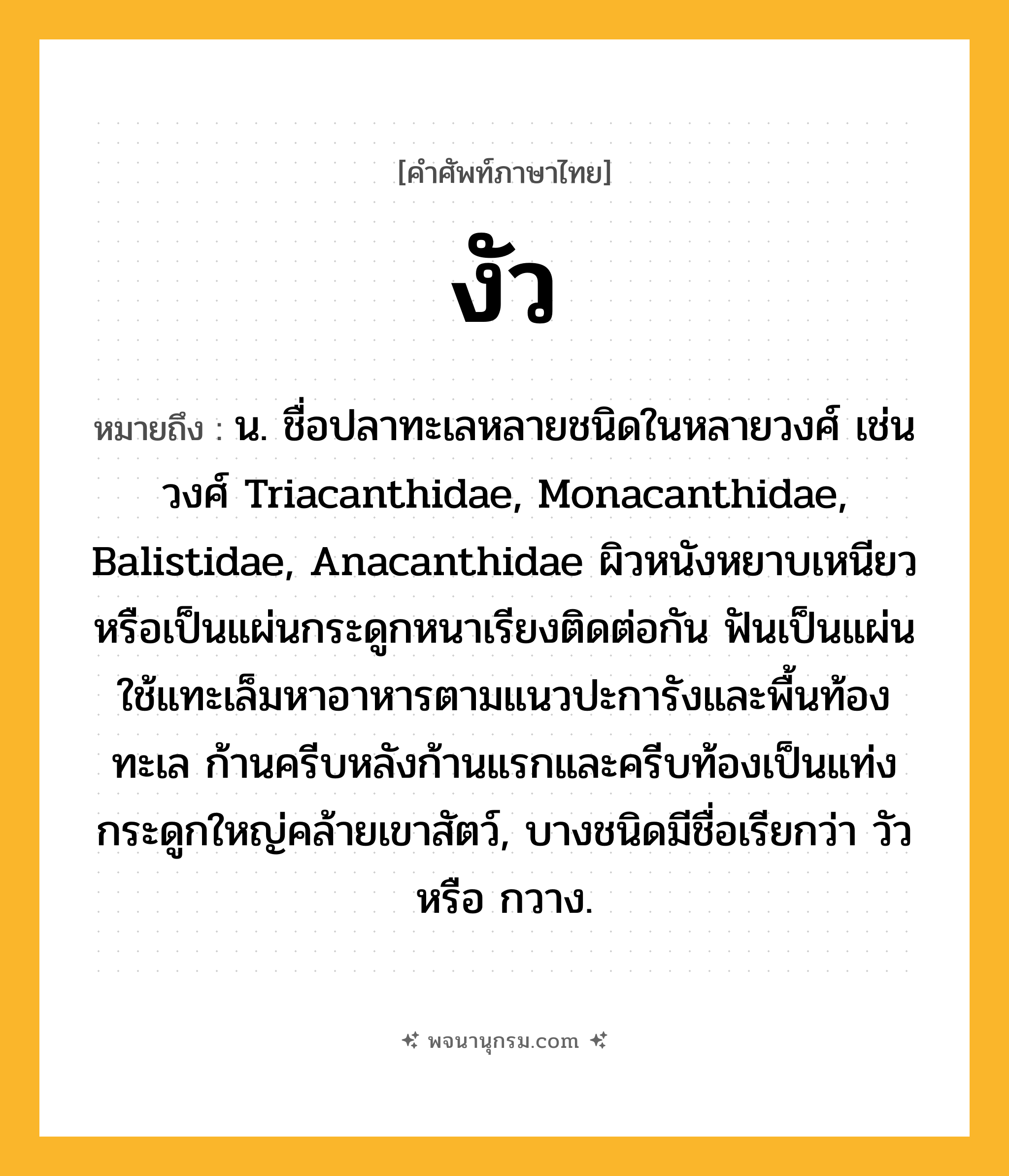 งัว ความหมาย หมายถึงอะไร?, คำในภาษาไทย งัว หมายถึง น. ชื่อปลาทะเลหลายชนิดในหลายวงศ์ เช่น วงศ์ Triacanthidae, Monacanthidae, Balistidae, Anacanthidae ผิวหนังหยาบเหนียวหรือเป็นแผ่นกระดูกหนาเรียงติดต่อกัน ฟันเป็นแผ่น ใช้แทะเล็มหาอาหารตามแนวปะการังและพื้นท้องทะเล ก้านครีบหลังก้านแรกและครีบท้องเป็นแท่งกระดูกใหญ่คล้ายเขาสัตว์, บางชนิดมีชื่อเรียกว่า วัว หรือ กวาง.