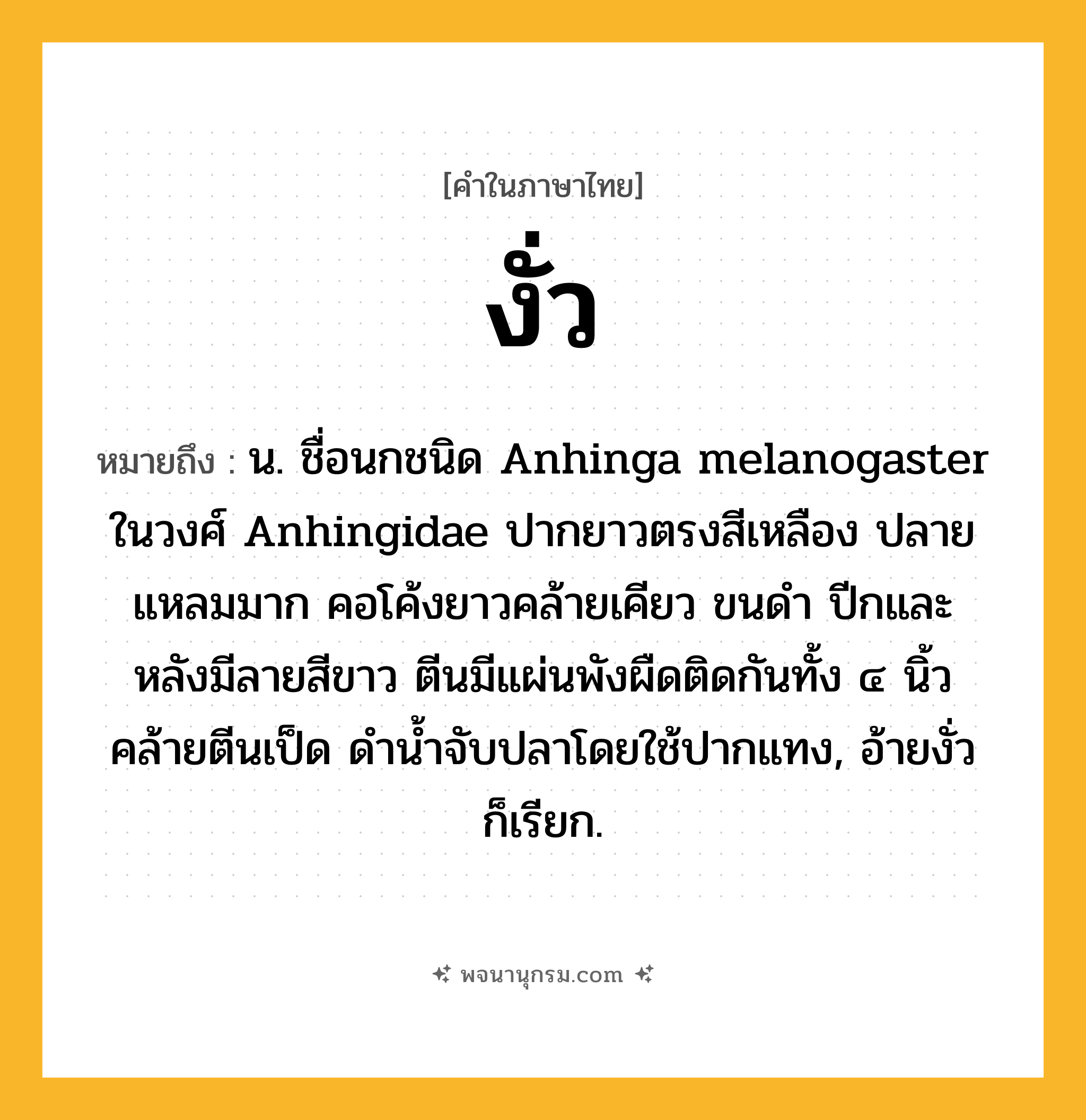 งั่ว ความหมาย หมายถึงอะไร?, คำในภาษาไทย งั่ว หมายถึง น. ชื่อนกชนิด Anhinga melanogaster ในวงศ์ Anhingidae ปากยาวตรงสีเหลือง ปลายแหลมมาก คอโค้งยาวคล้ายเคียว ขนดํา ปีกและหลังมีลายสีขาว ตีนมีแผ่นพังผืดติดกันทั้ง ๔ นิ้วคล้ายตีนเป็ด ดํานํ้าจับปลาโดยใช้ปากแทง, อ้ายงั่ว ก็เรียก.