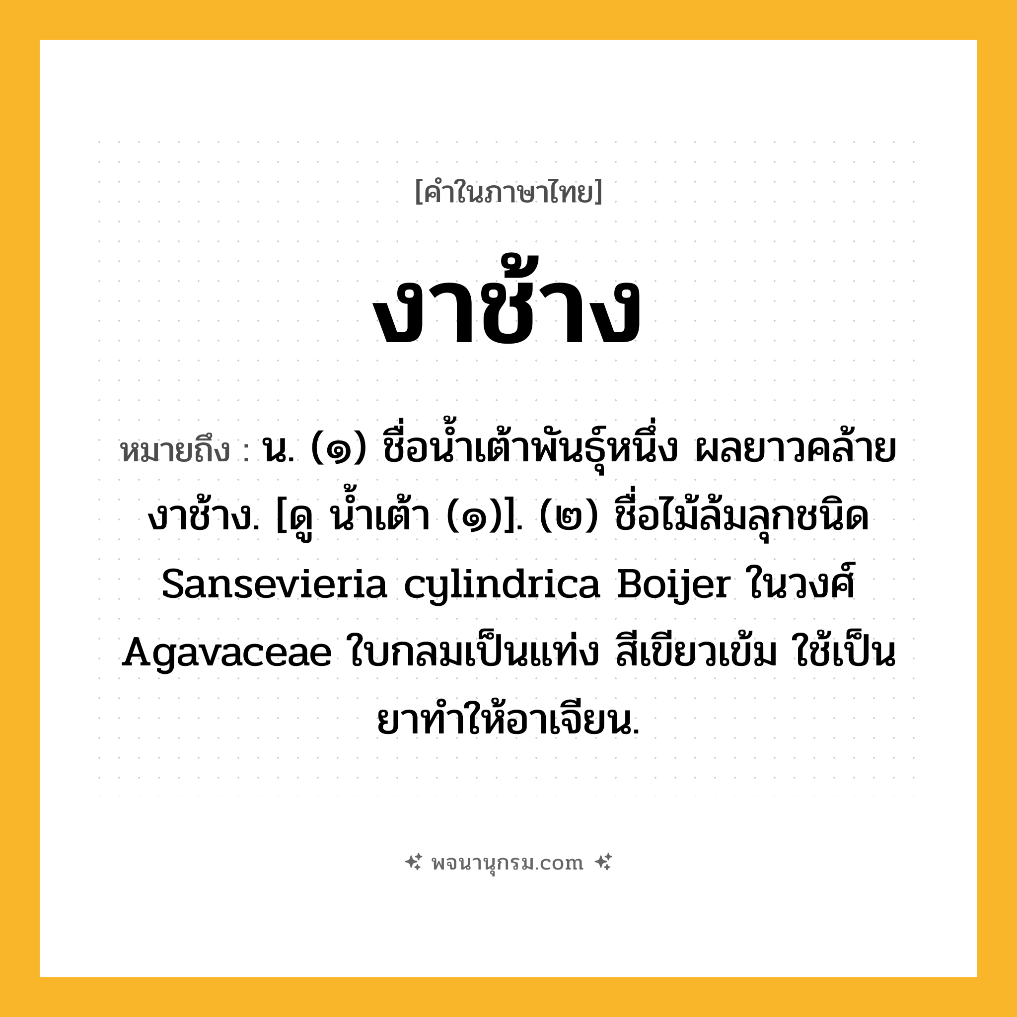 งาช้าง ความหมาย หมายถึงอะไร?, คำในภาษาไทย งาช้าง หมายถึง น. (๑) ชื่อนํ้าเต้าพันธุ์หนึ่ง ผลยาวคล้ายงาช้าง. [ดู นํ้าเต้า (๑)]. (๒) ชื่อไม้ล้มลุกชนิด Sansevieria cylindrica Boijer ในวงศ์ Agavaceae ใบกลมเป็นแท่ง สีเขียวเข้ม ใช้เป็นยาทําให้อาเจียน.