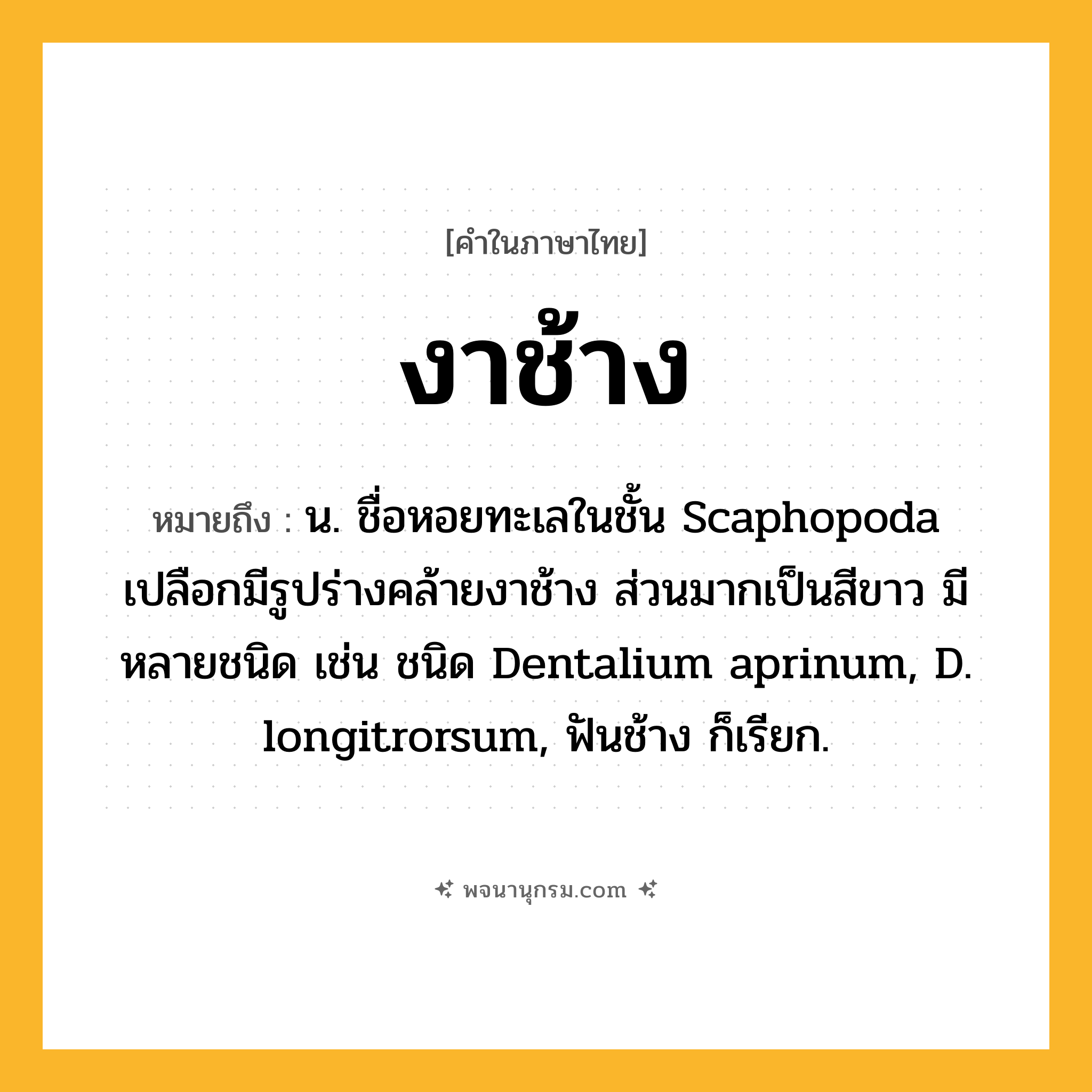 งาช้าง ความหมาย หมายถึงอะไร?, คำในภาษาไทย งาช้าง หมายถึง น. ชื่อหอยทะเลในชั้น Scaphopoda เปลือกมีรูปร่างคล้ายงาช้าง ส่วนมากเป็นสีขาว มีหลายชนิด เช่น ชนิด Dentalium aprinum, D. longitrorsum, ฟันช้าง ก็เรียก.