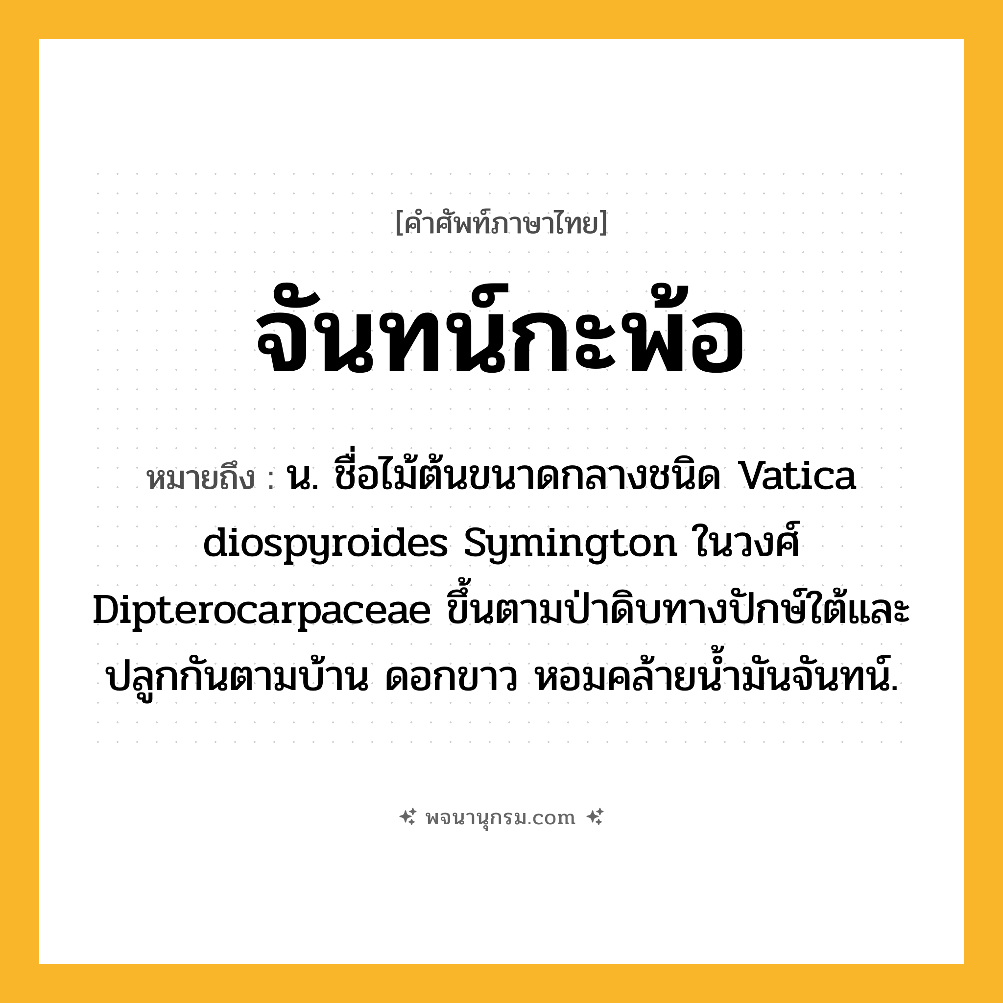 จันทน์กะพ้อ ความหมาย หมายถึงอะไร?, คำในภาษาไทย จันทน์กะพ้อ หมายถึง น. ชื่อไม้ต้นขนาดกลางชนิด Vatica diospyroides Symington ในวงศ์ Dipterocarpaceae ขึ้นตามป่าดิบทางปักษ์ใต้และปลูกกันตามบ้าน ดอกขาว หอมคล้ายนํ้ามันจันทน์.