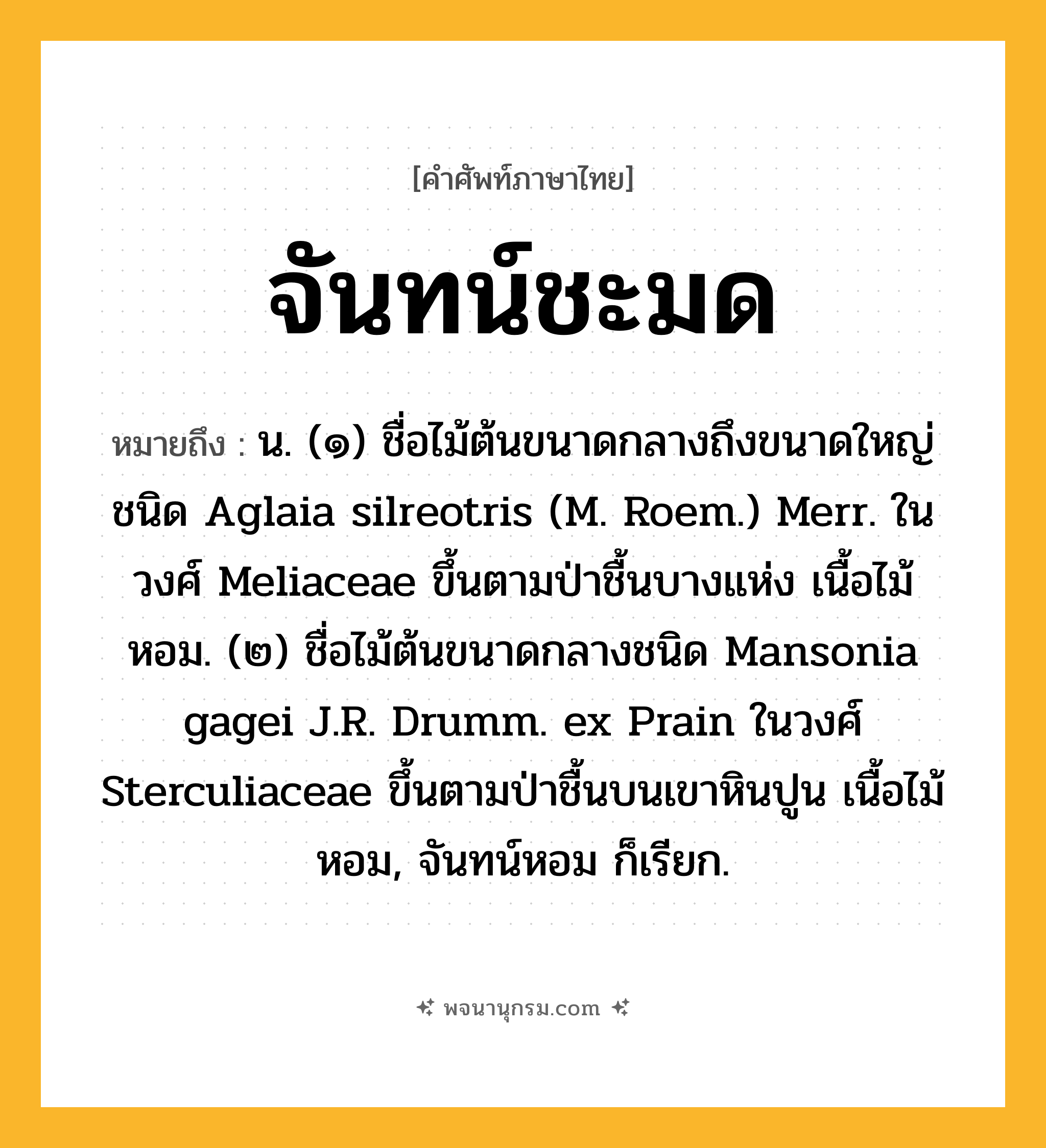 จันทน์ชะมด ความหมาย หมายถึงอะไร?, คำในภาษาไทย จันทน์ชะมด หมายถึง น. (๑) ชื่อไม้ต้นขนาดกลางถึงขนาดใหญ่ชนิด Aglaia silreotris (M. Roem.) Merr. ในวงศ์ Meliaceae ขึ้นตามป่าชื้นบางแห่ง เนื้อไม้หอม. (๒) ชื่อไม้ต้นขนาดกลางชนิด Mansonia gagei J.R. Drumm. ex Prain ในวงศ์ Sterculiaceae ขึ้นตามป่าชื้นบนเขาหินปูน เนื้อไม้หอม, จันทน์หอม ก็เรียก.
