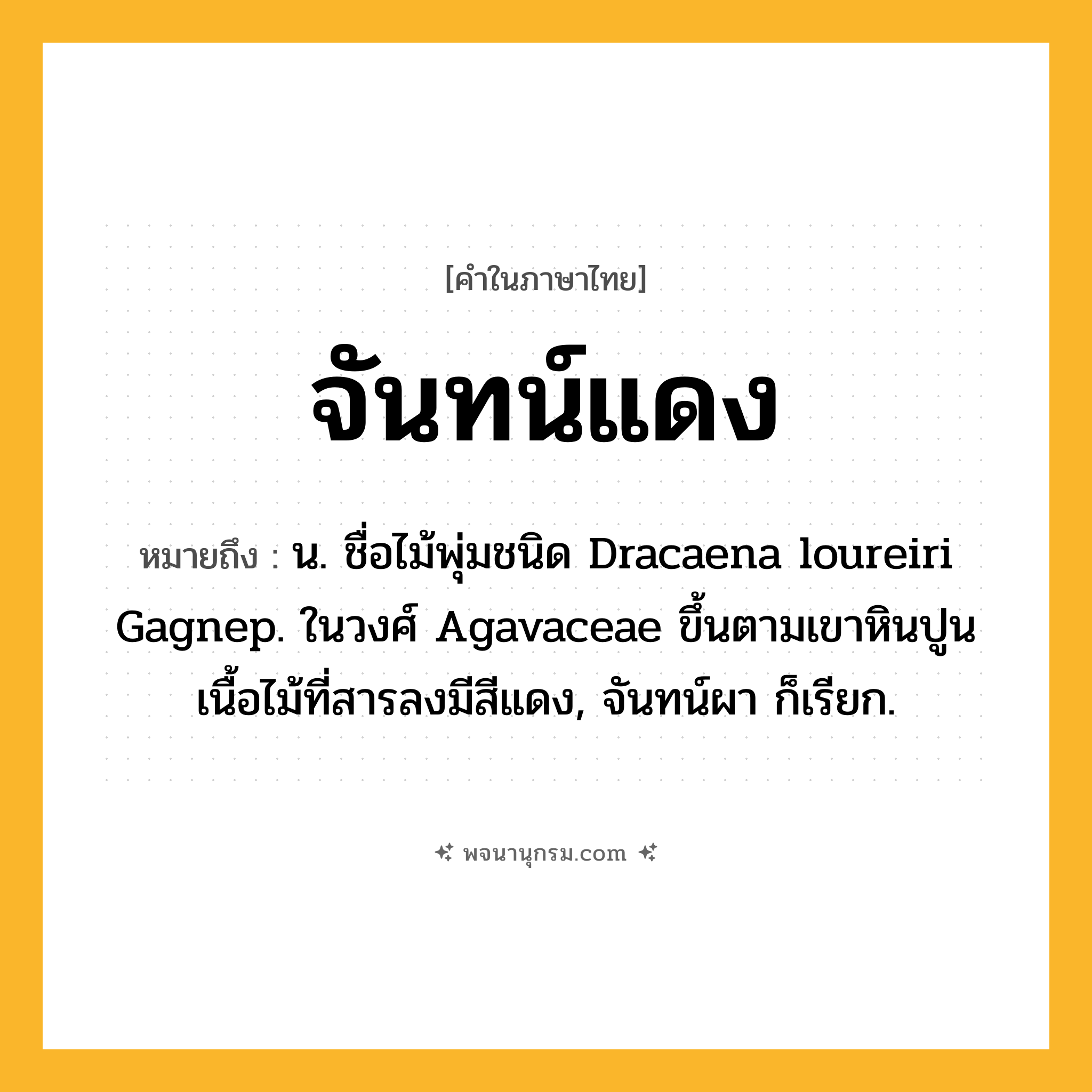จันทน์แดง ความหมาย หมายถึงอะไร?, คำในภาษาไทย จันทน์แดง หมายถึง น. ชื่อไม้พุ่มชนิด Dracaena loureiri Gagnep. ในวงศ์ Agavaceae ขึ้นตามเขาหินปูน เนื้อไม้ที่สารลงมีสีแดง, จันทน์ผา ก็เรียก.