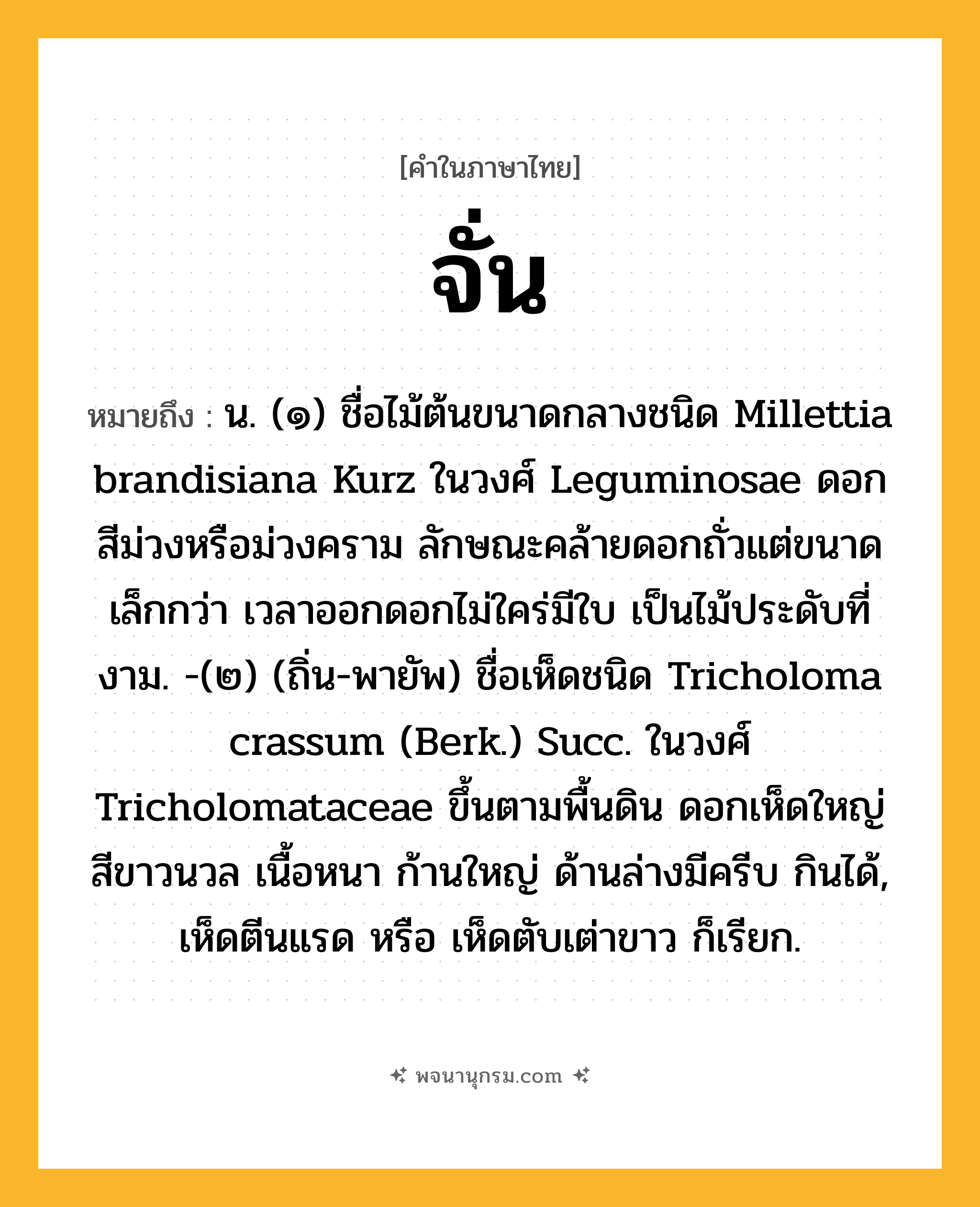 จั่น ความหมาย หมายถึงอะไร?, คำในภาษาไทย จั่น หมายถึง น. (๑) ชื่อไม้ต้นขนาดกลางชนิด Millettia brandisiana Kurz ในวงศ์ Leguminosae ดอกสีม่วงหรือม่วงคราม ลักษณะคล้ายดอกถั่วแต่ขนาดเล็กกว่า เวลาออกดอกไม่ใคร่มีใบ เป็นไม้ประดับที่งาม. -(๒) (ถิ่น-พายัพ) ชื่อเห็ดชนิด Tricholoma crassum (Berk.) Succ. ในวงศ์ Tricholomataceae ขึ้นตามพื้นดิน ดอกเห็ดใหญ่ สีขาวนวล เนื้อหนา ก้านใหญ่ ด้านล่างมีครีบ กินได้, เห็ดตีนแรด หรือ เห็ดตับเต่าขาว ก็เรียก.