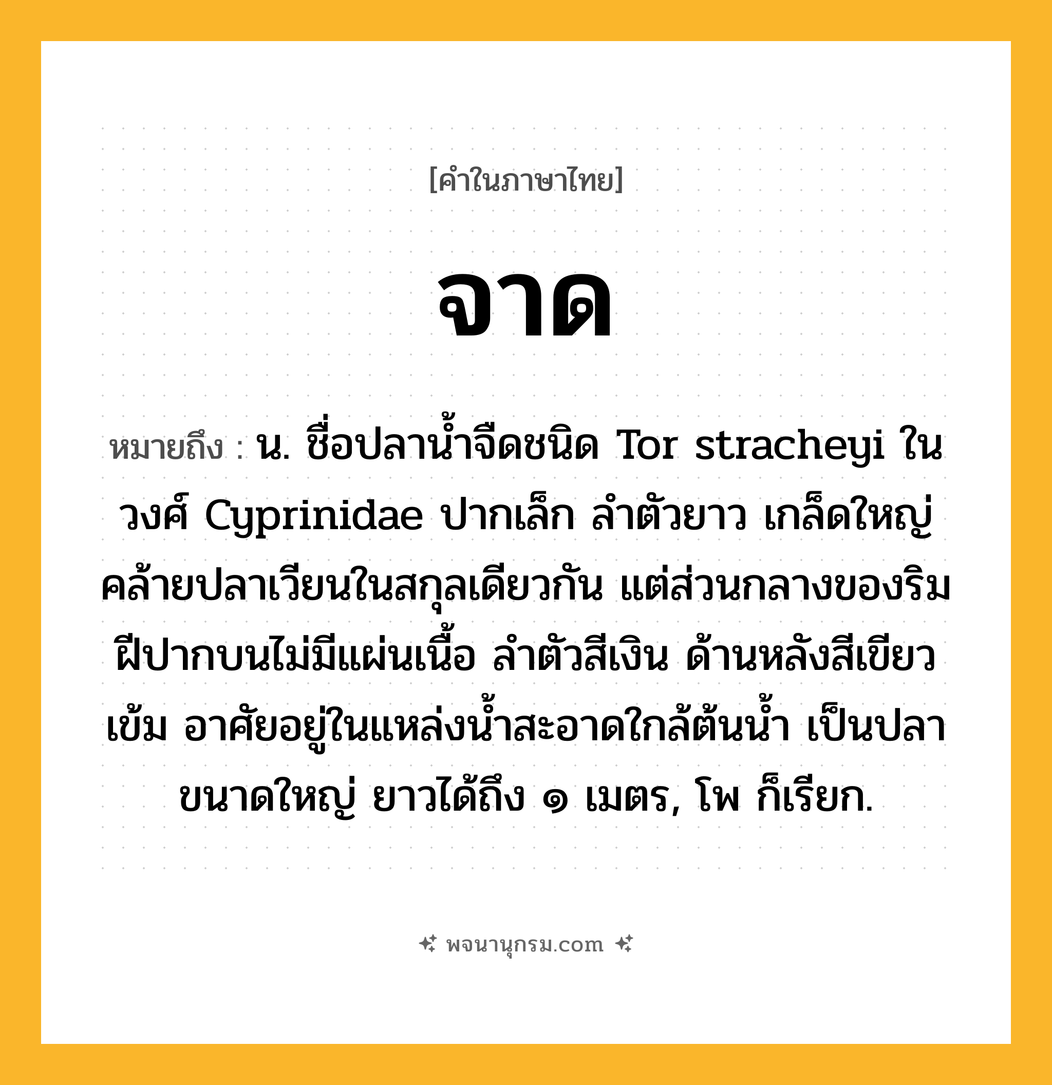 จาด ความหมาย หมายถึงอะไร?, คำในภาษาไทย จาด หมายถึง น. ชื่อปลานํ้าจืดชนิด Tor stracheyi ในวงศ์ Cyprinidae ปากเล็ก ลําตัวยาว เกล็ดใหญ่ คล้ายปลาเวียนในสกุลเดียวกัน แต่ส่วนกลางของริมฝีปากบนไม่มีแผ่นเนื้อ ลําตัวสีเงิน ด้านหลังสีเขียวเข้ม อาศัยอยู่ในแหล่งนํ้าสะอาดใกล้ต้นนํ้า เป็นปลาขนาดใหญ่ ยาวได้ถึง ๑ เมตร, โพ ก็เรียก.