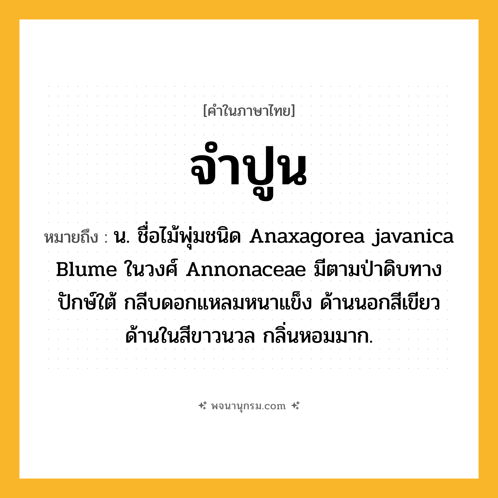 จำปูน ความหมาย หมายถึงอะไร?, คำในภาษาไทย จำปูน หมายถึง น. ชื่อไม้พุ่มชนิด Anaxagorea javanica Blume ในวงศ์ Annonaceae มีตามป่าดิบทางปักษ์ใต้ กลีบดอกแหลมหนาแข็ง ด้านนอกสีเขียว ด้านในสีขาวนวล กลิ่นหอมมาก.