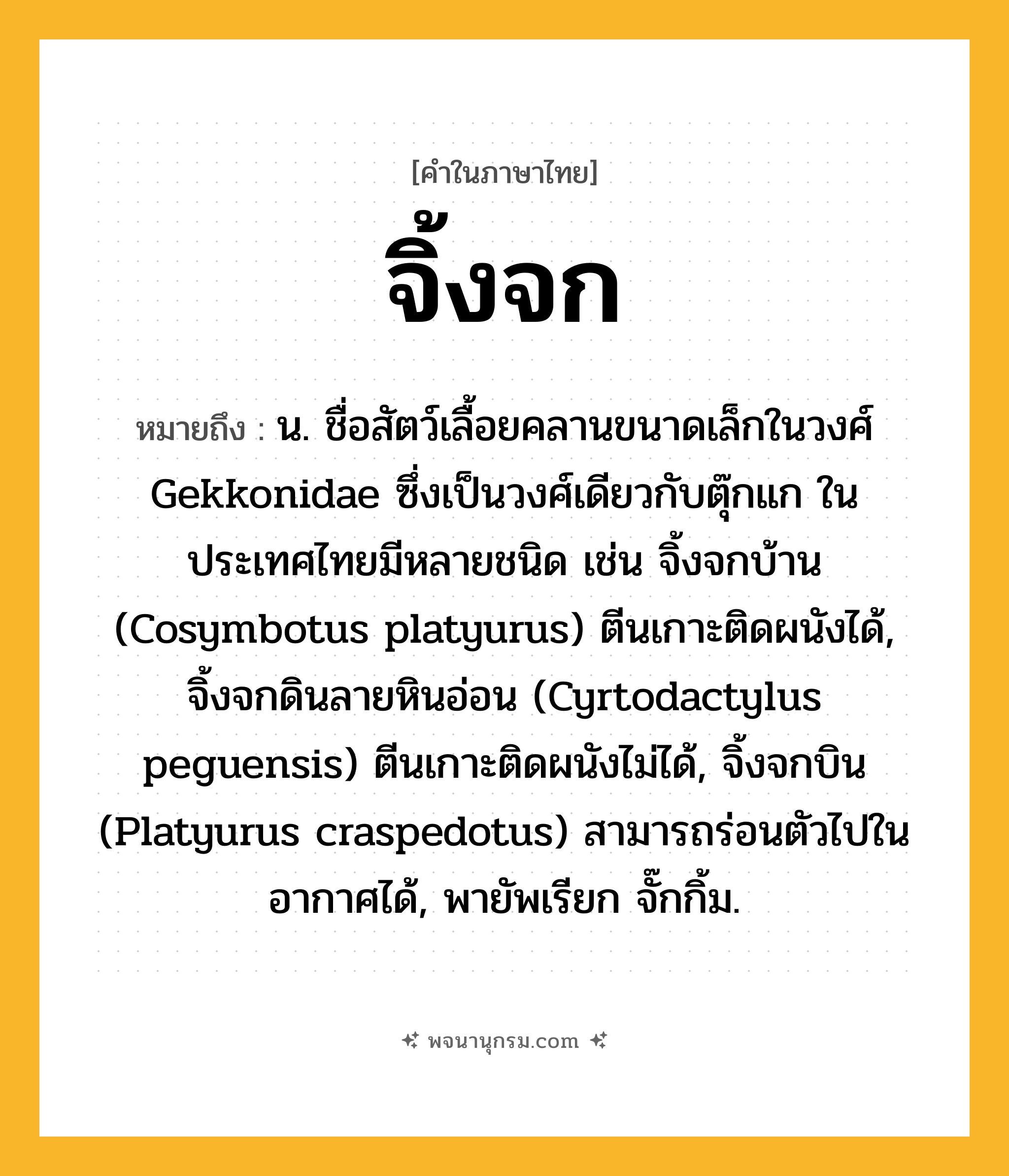 จิ้งจก ความหมาย หมายถึงอะไร?, คำในภาษาไทย จิ้งจก หมายถึง น. ชื่อสัตว์เลื้อยคลานขนาดเล็กในวงศ์ Gekkonidae ซึ่งเป็นวงศ์เดียวกับตุ๊กแก ในประเทศไทยมีหลายชนิด เช่น จิ้งจกบ้าน (Cosymbotus platyurus) ตีนเกาะติดผนังได้, จิ้งจกดินลายหินอ่อน (Cyrtodactylus peguensis) ตีนเกาะติดผนังไม่ได้, จิ้งจกบิน (Platyurus craspedotus) สามารถร่อนตัวไปในอากาศได้, พายัพเรียก จั๊กกิ้ม.