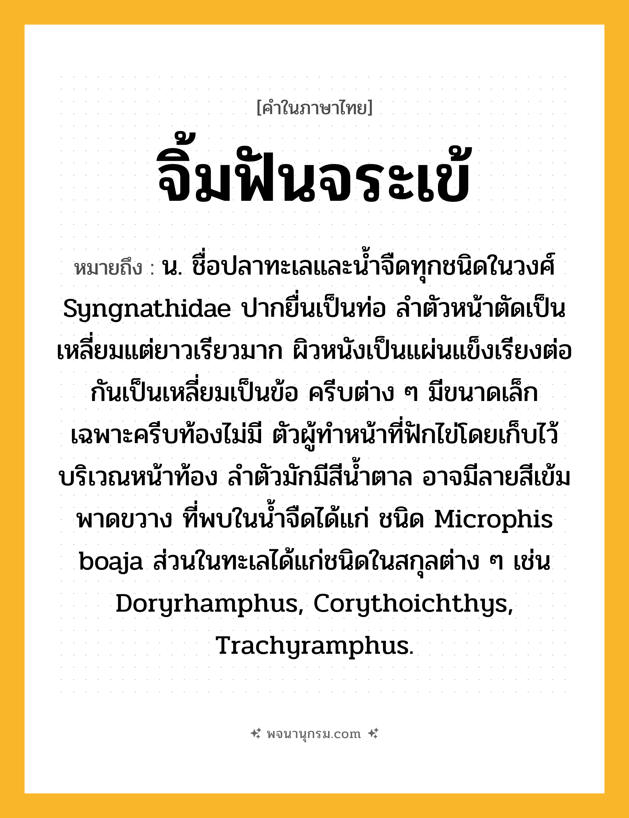 จิ้มฟันจระเข้ ความหมาย หมายถึงอะไร?, คำในภาษาไทย จิ้มฟันจระเข้ หมายถึง น. ชื่อปลาทะเลและนํ้าจืดทุกชนิดในวงศ์ Syngnathidae ปากยื่นเป็นท่อ ลําตัวหน้าตัดเป็นเหลี่ยมแต่ยาวเรียวมาก ผิวหนังเป็นแผ่นแข็งเรียงต่อกันเป็นเหลี่ยมเป็นข้อ ครีบต่าง ๆ มีขนาดเล็ก เฉพาะครีบท้องไม่มี ตัวผู้ทําหน้าที่ฟักไข่โดยเก็บไว้บริเวณหน้าท้อง ลําตัวมักมีสีนํ้าตาล อาจมีลายสีเข้มพาดขวาง ที่พบในนํ้าจืดได้แก่ ชนิด Microphis boaja ส่วนในทะเลได้แก่ชนิดในสกุลต่าง ๆ เช่น Doryrhamphus, Corythoichthys, Trachyramphus.