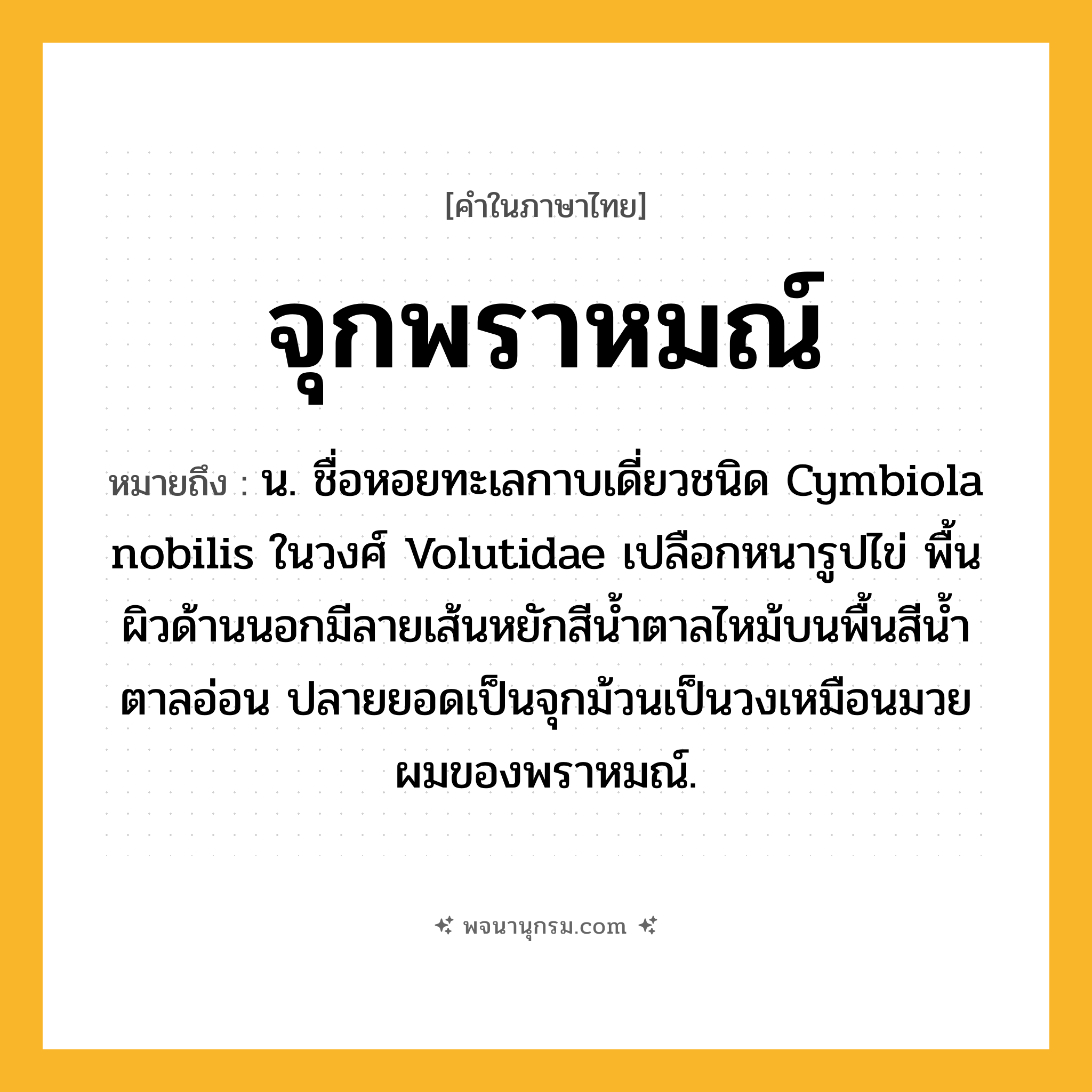 จุกพราหมณ์ ความหมาย หมายถึงอะไร?, คำในภาษาไทย จุกพราหมณ์ หมายถึง น. ชื่อหอยทะเลกาบเดี่ยวชนิด Cymbiola nobilis ในวงศ์ Volutidae เปลือกหนารูปไข่ พื้นผิวด้านนอกมีลายเส้นหยักสีนํ้าตาลไหม้บนพื้นสีนํ้าตาลอ่อน ปลายยอดเป็นจุกม้วนเป็นวงเหมือนมวยผมของพราหมณ์.