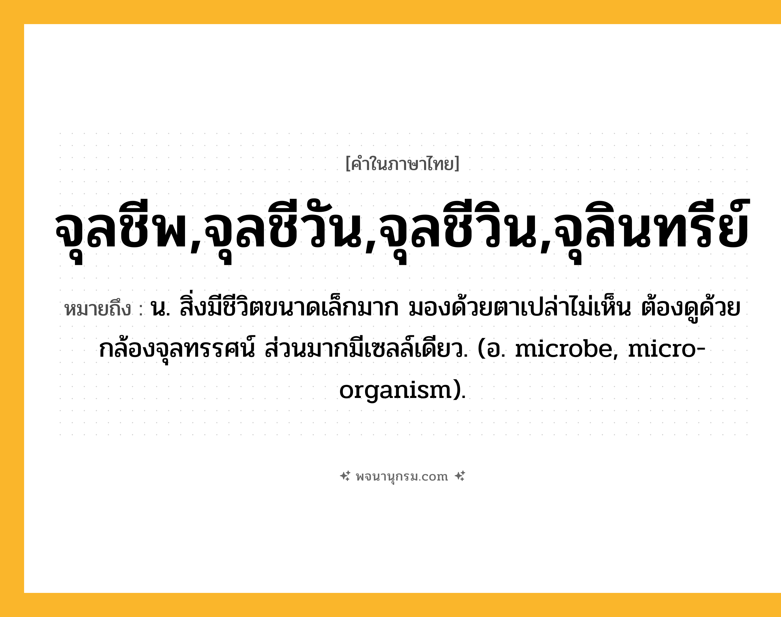 จุลชีพ,จุลชีวัน,จุลชีวิน,จุลินทรีย์ ความหมาย หมายถึงอะไร?, คำในภาษาไทย จุลชีพ,จุลชีวัน,จุลชีวิน,จุลินทรีย์ หมายถึง น. สิ่งมีชีวิตขนาดเล็กมาก มองด้วยตาเปล่าไม่เห็น ต้องดูด้วยกล้องจุลทรรศน์ ส่วนมากมีเซลล์เดียว. (อ. microbe, micro-organism).