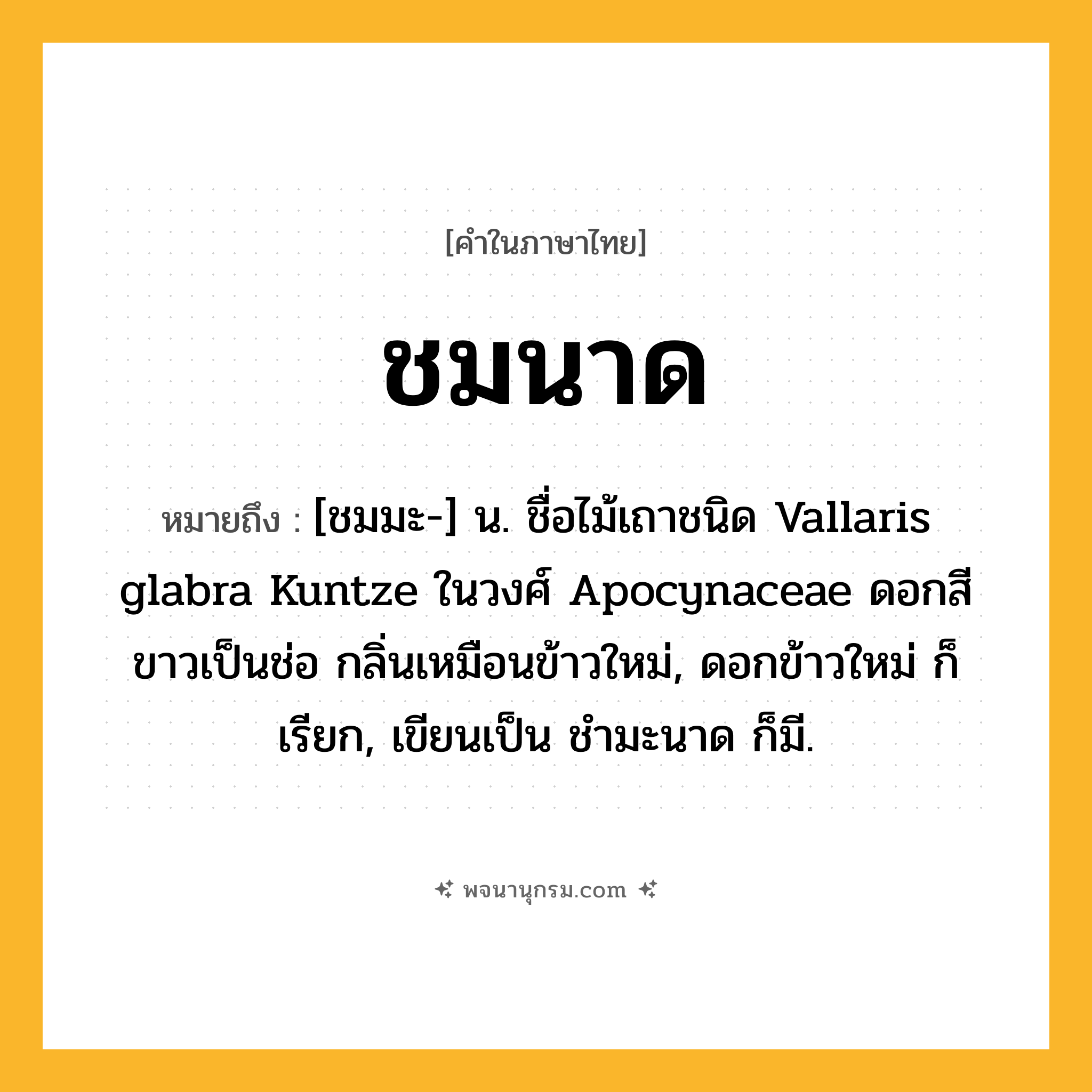 ชมนาด ความหมาย หมายถึงอะไร?, คำในภาษาไทย ชมนาด หมายถึง [ชมมะ-] น. ชื่อไม้เถาชนิด Vallaris glabra Kuntze ในวงศ์ Apocynaceae ดอกสีขาวเป็นช่อ กลิ่นเหมือนข้าวใหม่, ดอกข้าวใหม่ ก็เรียก, เขียนเป็น ชํามะนาด ก็มี.