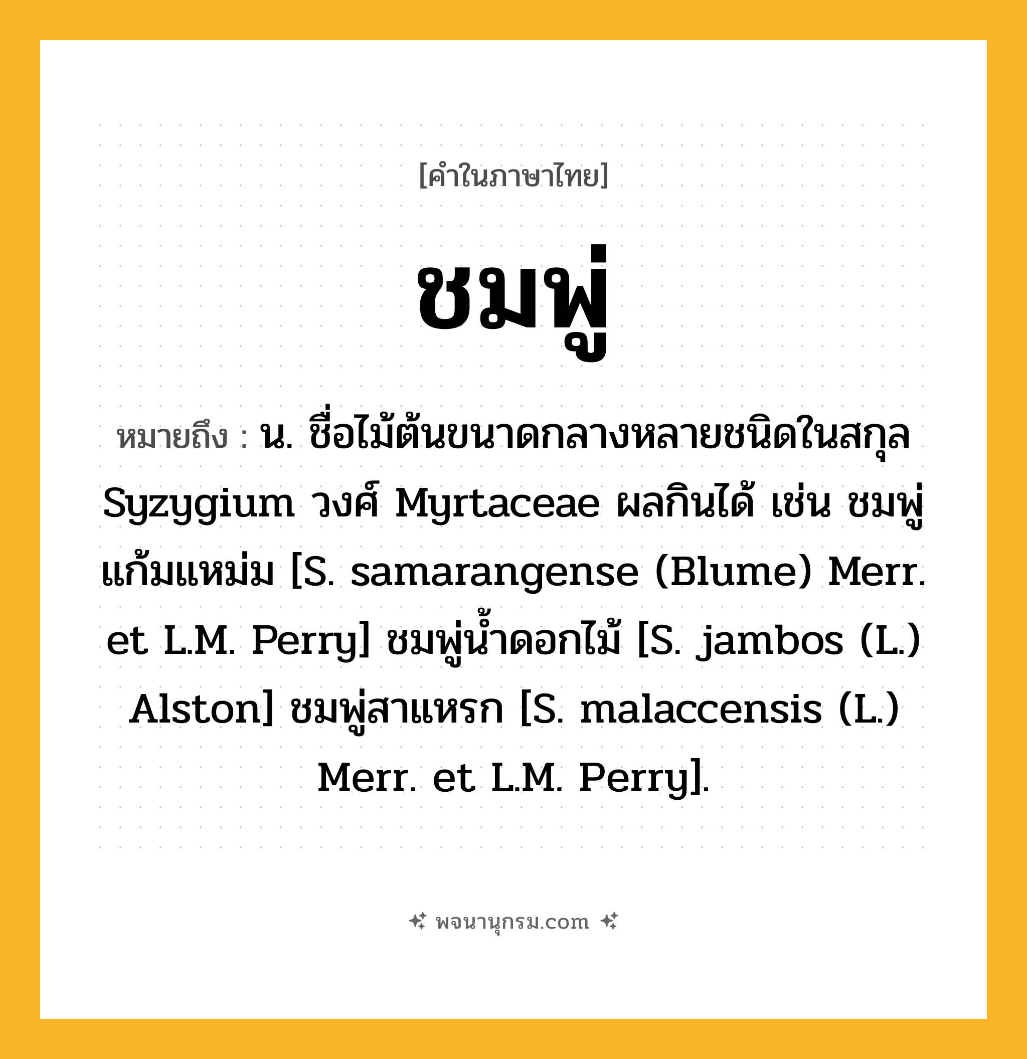 ชมพู่ ความหมาย หมายถึงอะไร?, คำในภาษาไทย ชมพู่ หมายถึง น. ชื่อไม้ต้นขนาดกลางหลายชนิดในสกุล Syzygium วงศ์ Myrtaceae ผลกินได้ เช่น ชมพู่แก้มแหม่ม [S. samarangense (Blume) Merr. et L.M. Perry] ชมพู่นํ้าดอกไม้ [S. jambos (L.) Alston] ชมพู่สาแหรก [S. malaccensis (L.) Merr. et L.M. Perry].