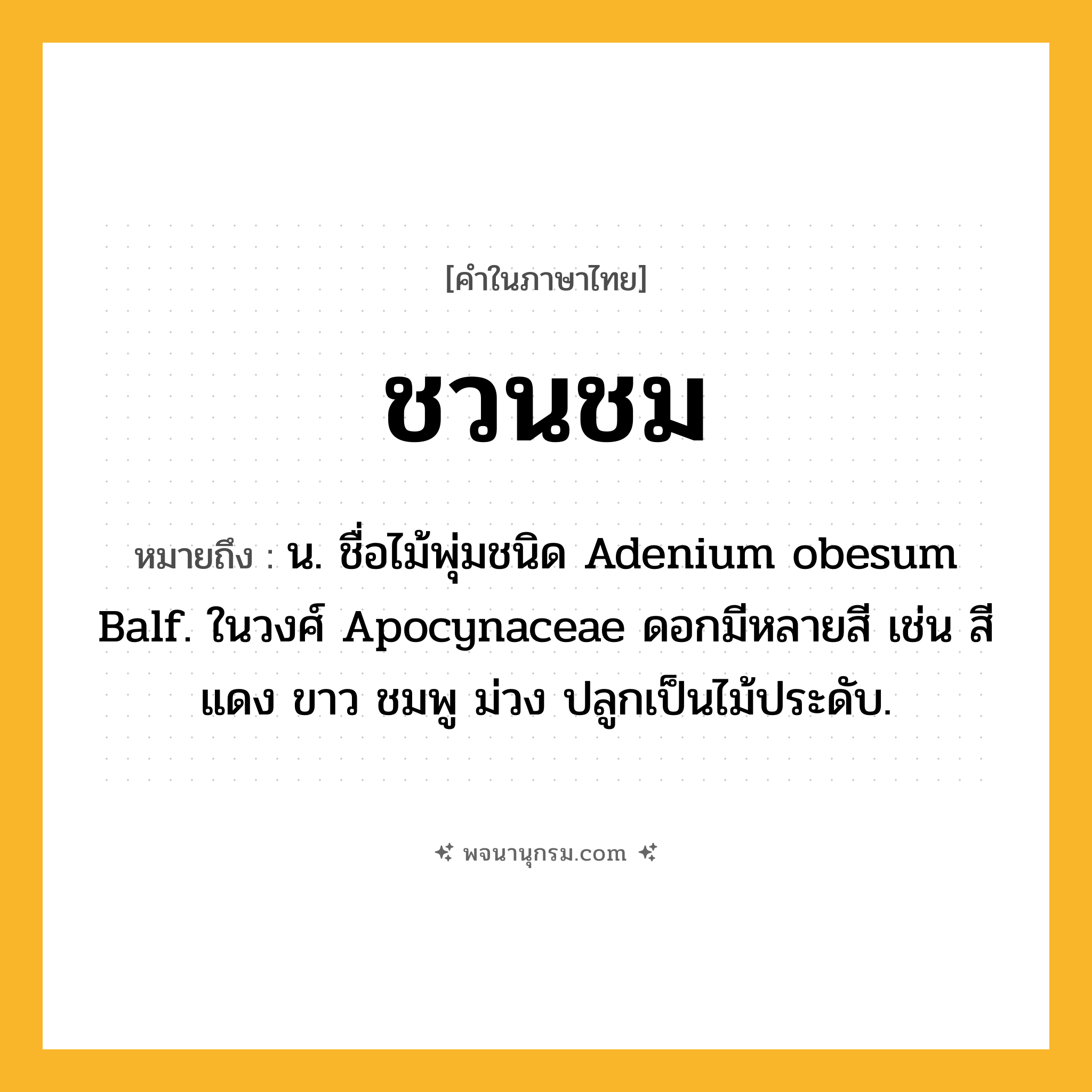 ชวนชม ความหมาย หมายถึงอะไร?, คำในภาษาไทย ชวนชม หมายถึง น. ชื่อไม้พุ่มชนิด Adenium obesum Balf. ในวงศ์ Apocynaceae ดอกมีหลายสี เช่น สีแดง ขาว ชมพู ม่วง ปลูกเป็นไม้ประดับ.