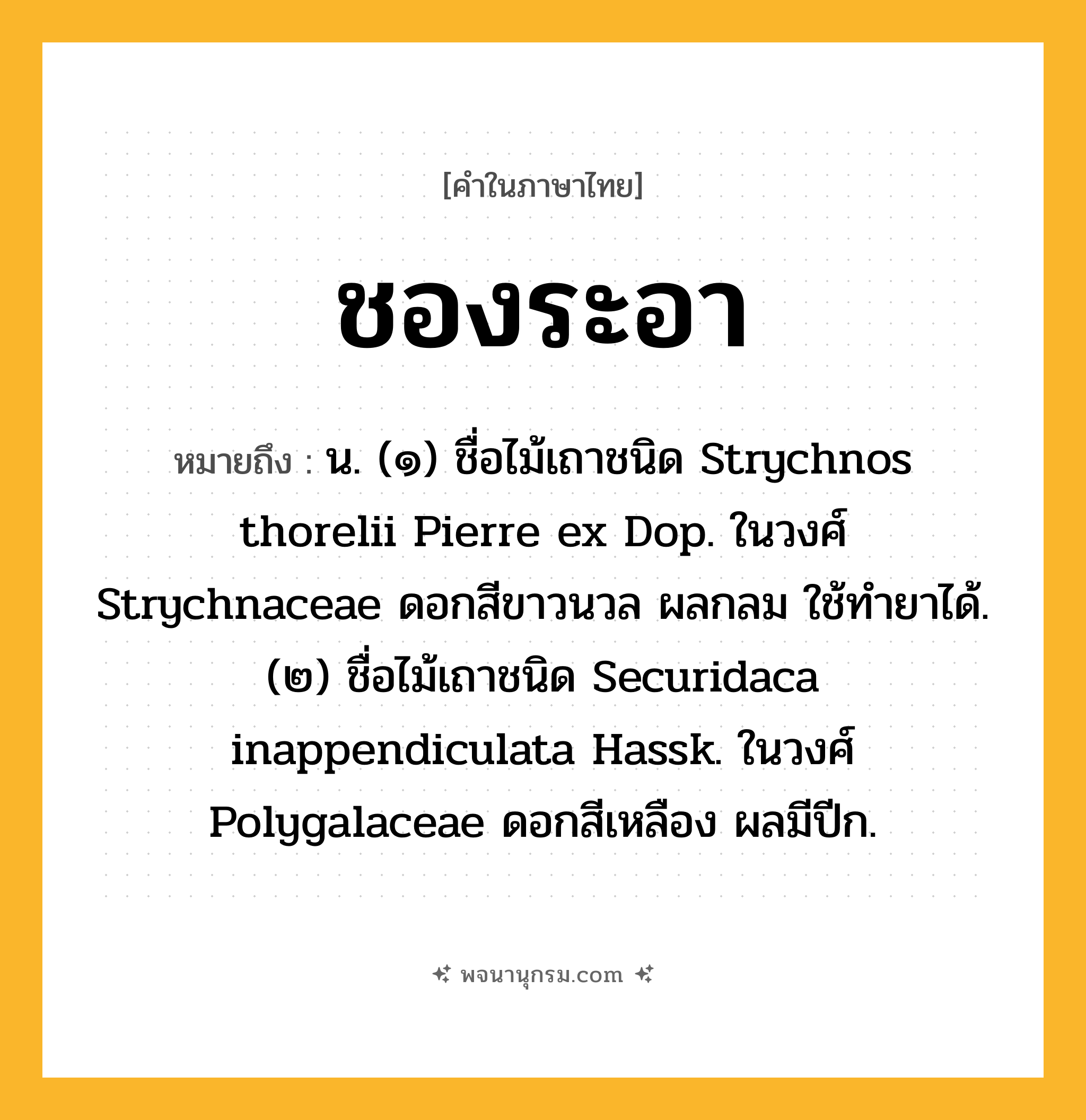 ชองระอา ความหมาย หมายถึงอะไร?, คำในภาษาไทย ชองระอา หมายถึง น. (๑) ชื่อไม้เถาชนิด Strychnos thorelii Pierre ex Dop. ในวงศ์ Strychnaceae ดอกสีขาวนวล ผลกลม ใช้ทํายาได้. (๒) ชื่อไม้เถาชนิด Securidaca inappendiculata Hassk. ในวงศ์ Polygalaceae ดอกสีเหลือง ผลมีปีก.