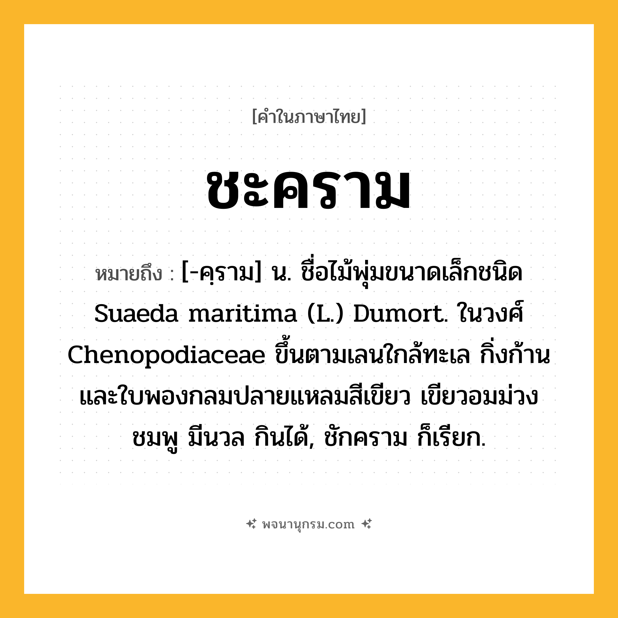 ชะคราม ความหมาย หมายถึงอะไร?, คำในภาษาไทย ชะคราม หมายถึง [-คฺราม] น. ชื่อไม้พุ่มขนาดเล็กชนิด Suaeda maritima (L.) Dumort. ในวงศ์ Chenopodiaceae ขึ้นตามเลนใกล้ทะเล กิ่งก้านและใบพองกลมปลายแหลมสีเขียว เขียวอมม่วง ชมพู มีนวล กินได้, ชักคราม ก็เรียก.