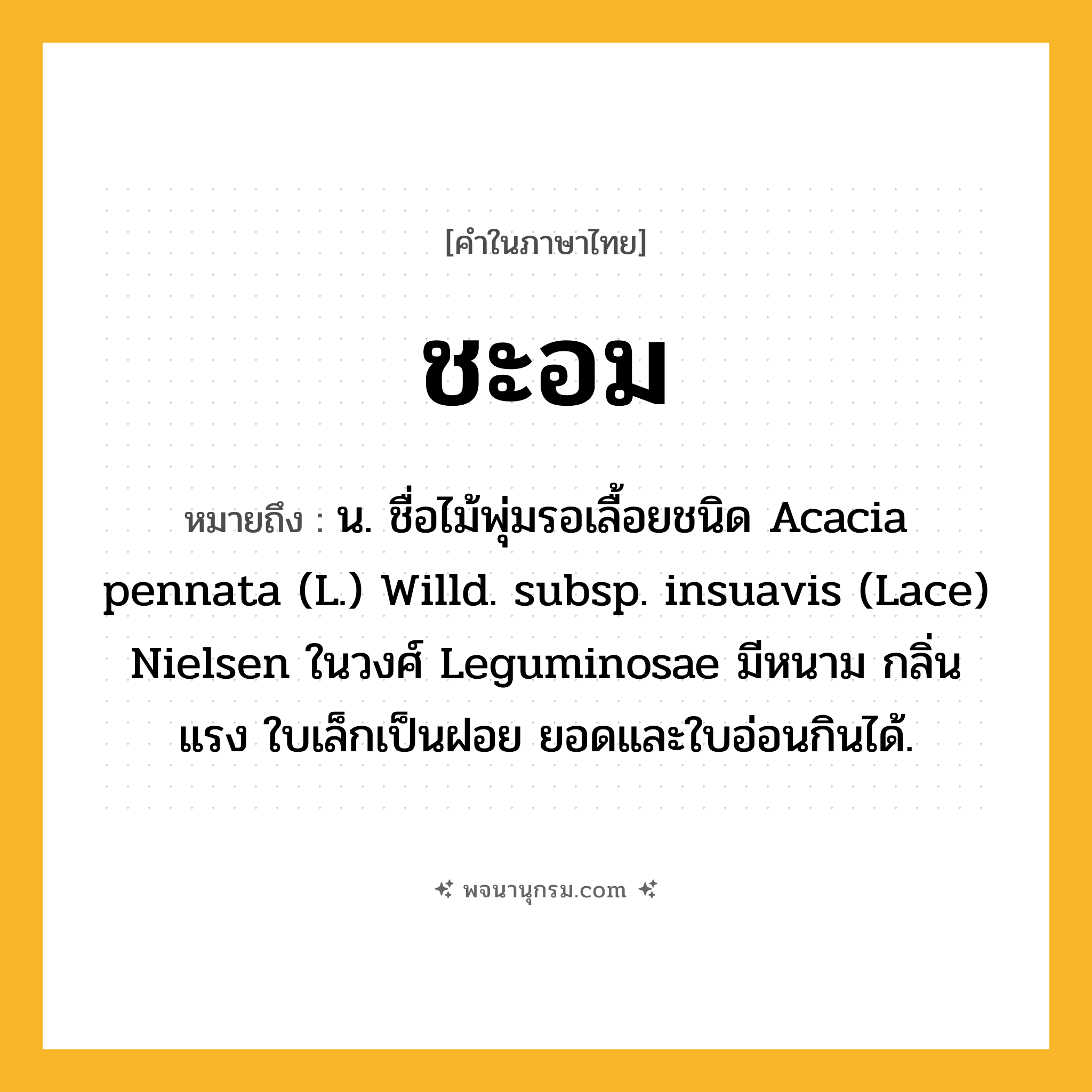 ชะอม ความหมาย หมายถึงอะไร?, คำในภาษาไทย ชะอม หมายถึง น. ชื่อไม้พุ่มรอเลื้อยชนิด Acacia pennata (L.) Willd. subsp. insuavis (Lace) Nielsen ในวงศ์ Leguminosae มีหนาม กลิ่นแรง ใบเล็กเป็นฝอย ยอดและใบอ่อนกินได้.