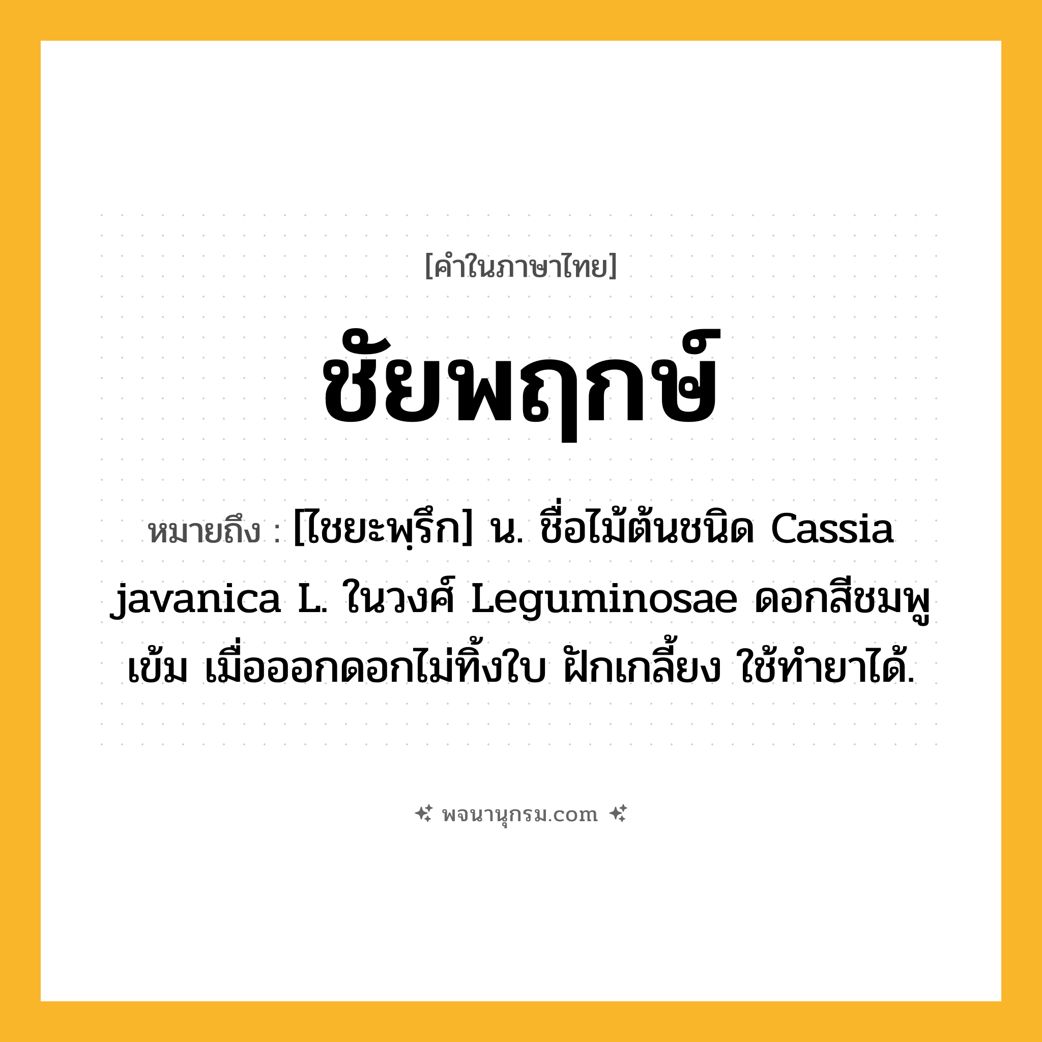 ชัยพฤกษ์ ความหมาย หมายถึงอะไร?, คำในภาษาไทย ชัยพฤกษ์ หมายถึง [ไชยะพฺรึก] น. ชื่อไม้ต้นชนิด Cassia javanica L. ในวงศ์ Leguminosae ดอกสีชมพูเข้ม เมื่อออกดอกไม่ทิ้งใบ ฝักเกลี้ยง ใช้ทํายาได้.