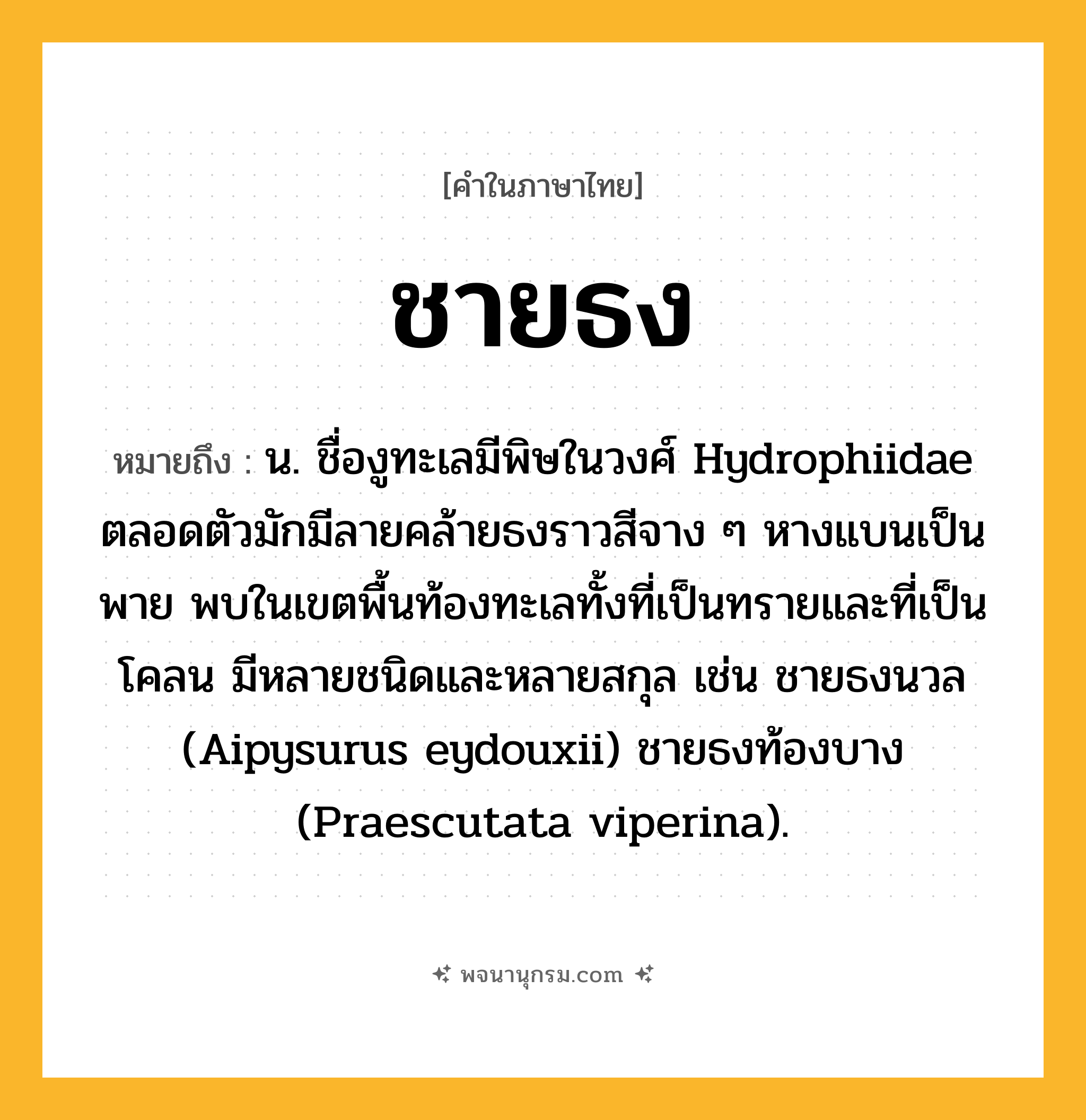 ชายธง ความหมาย หมายถึงอะไร?, คำในภาษาไทย ชายธง หมายถึง น. ชื่องูทะเลมีพิษในวงศ์ Hydrophiidae ตลอดตัวมักมีลายคล้ายธงราวสีจาง ๆ หางแบนเป็นพาย พบในเขตพื้นท้องทะเลทั้งที่เป็นทรายและที่เป็นโคลน มีหลายชนิดและหลายสกุล เช่น ชายธงนวล (Aipysurus eydouxii) ชายธงท้องบาง (Praescutata viperina).