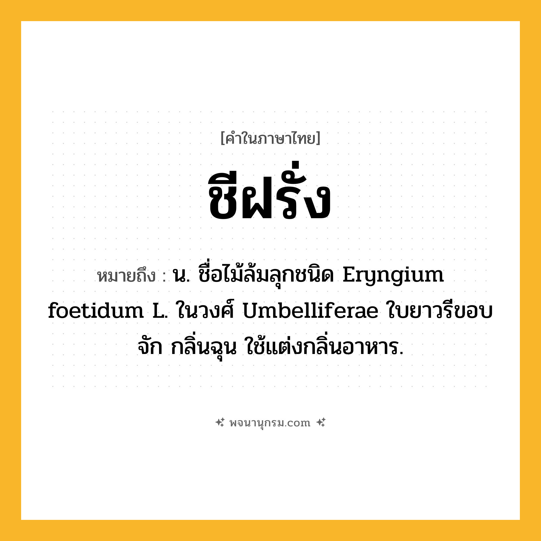 ชีฝรั่ง ความหมาย หมายถึงอะไร?, คำในภาษาไทย ชีฝรั่ง หมายถึง น. ชื่อไม้ล้มลุกชนิด Eryngium foetidum L. ในวงศ์ Umbelliferae ใบยาวรีขอบจัก กลิ่นฉุน ใช้แต่งกลิ่นอาหาร.