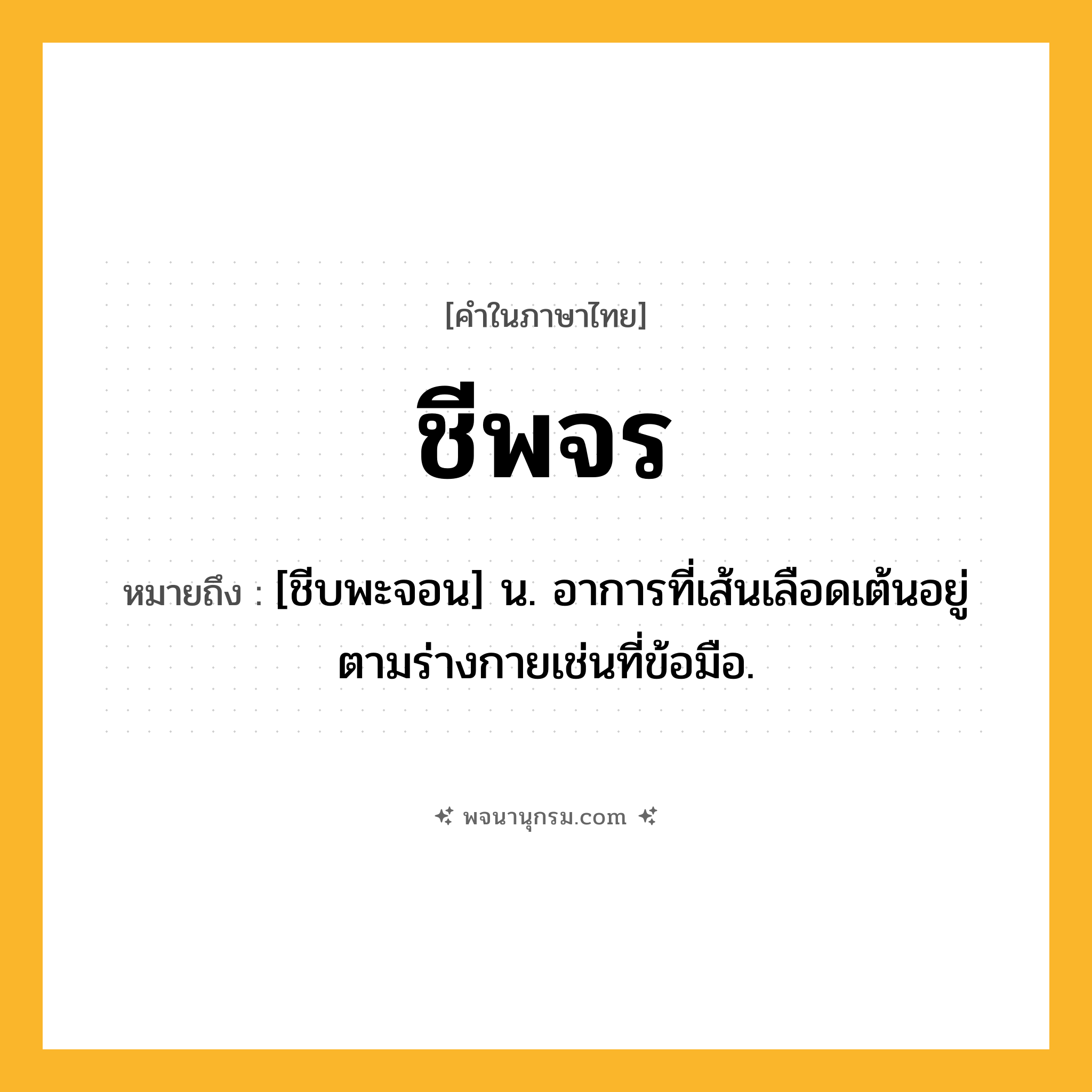 ชีพจร ความหมาย หมายถึงอะไร?, คำในภาษาไทย ชีพจร หมายถึง [ชีบพะจอน] น. อาการที่เส้นเลือดเต้นอยู่ตามร่างกายเช่นที่ข้อมือ.
