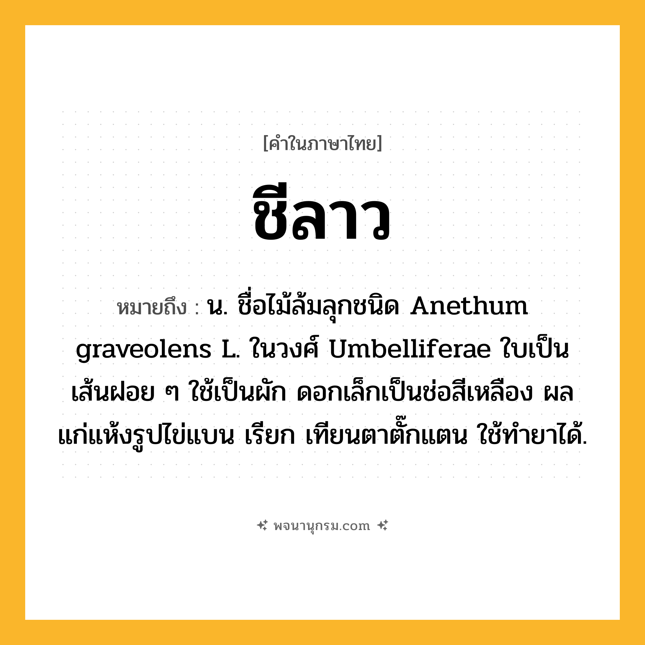 ชีลาว ความหมาย หมายถึงอะไร?, คำในภาษาไทย ชีลาว หมายถึง น. ชื่อไม้ล้มลุกชนิด Anethum graveolens L. ในวงศ์ Umbelliferae ใบเป็นเส้นฝอย ๆ ใช้เป็นผัก ดอกเล็กเป็นช่อสีเหลือง ผลแก่แห้งรูปไข่แบน เรียก เทียนตาตั๊กแตน ใช้ทํายาได้.